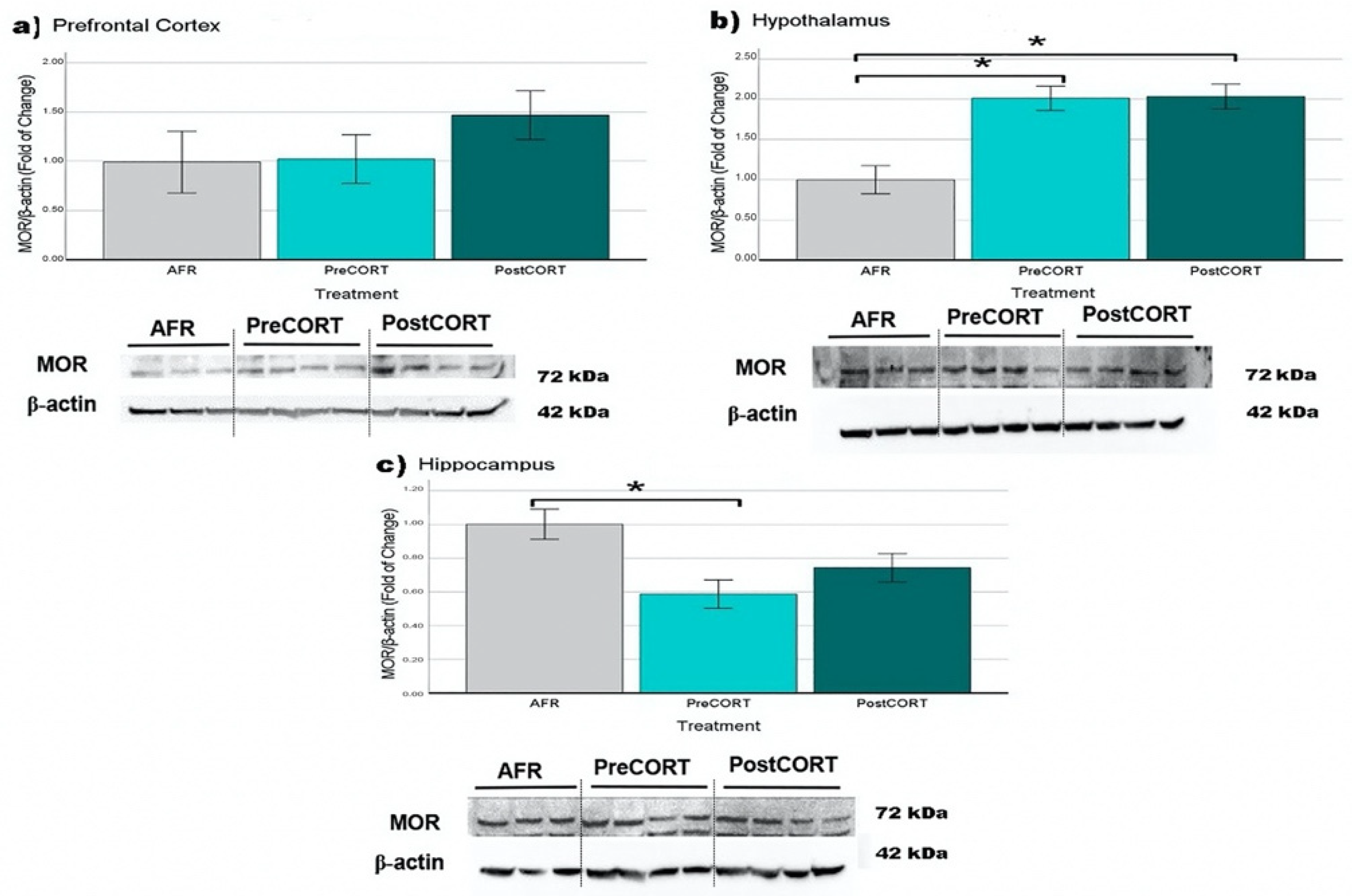 Ijms 22 05039 g015 Ijms 22 05039 g015