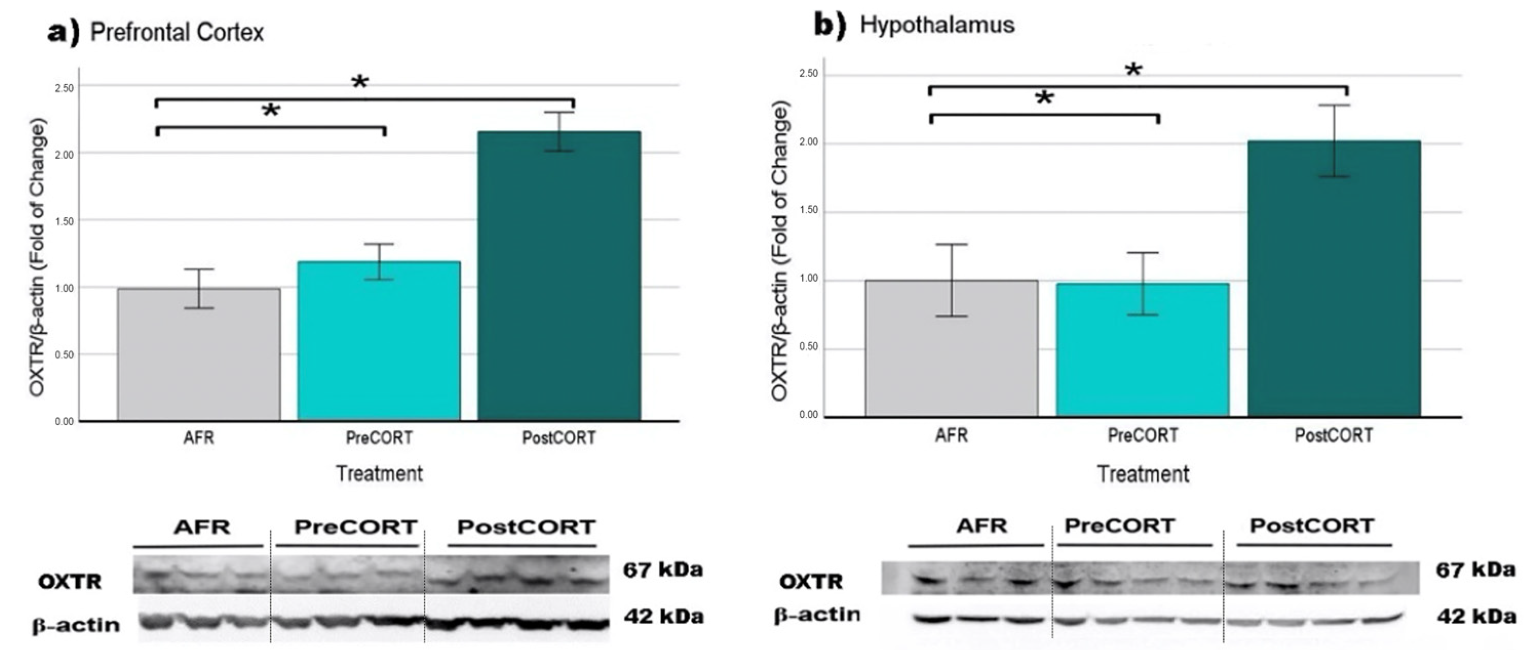 Ijms 22 05039 g017 Ijms 22 05039 g017
