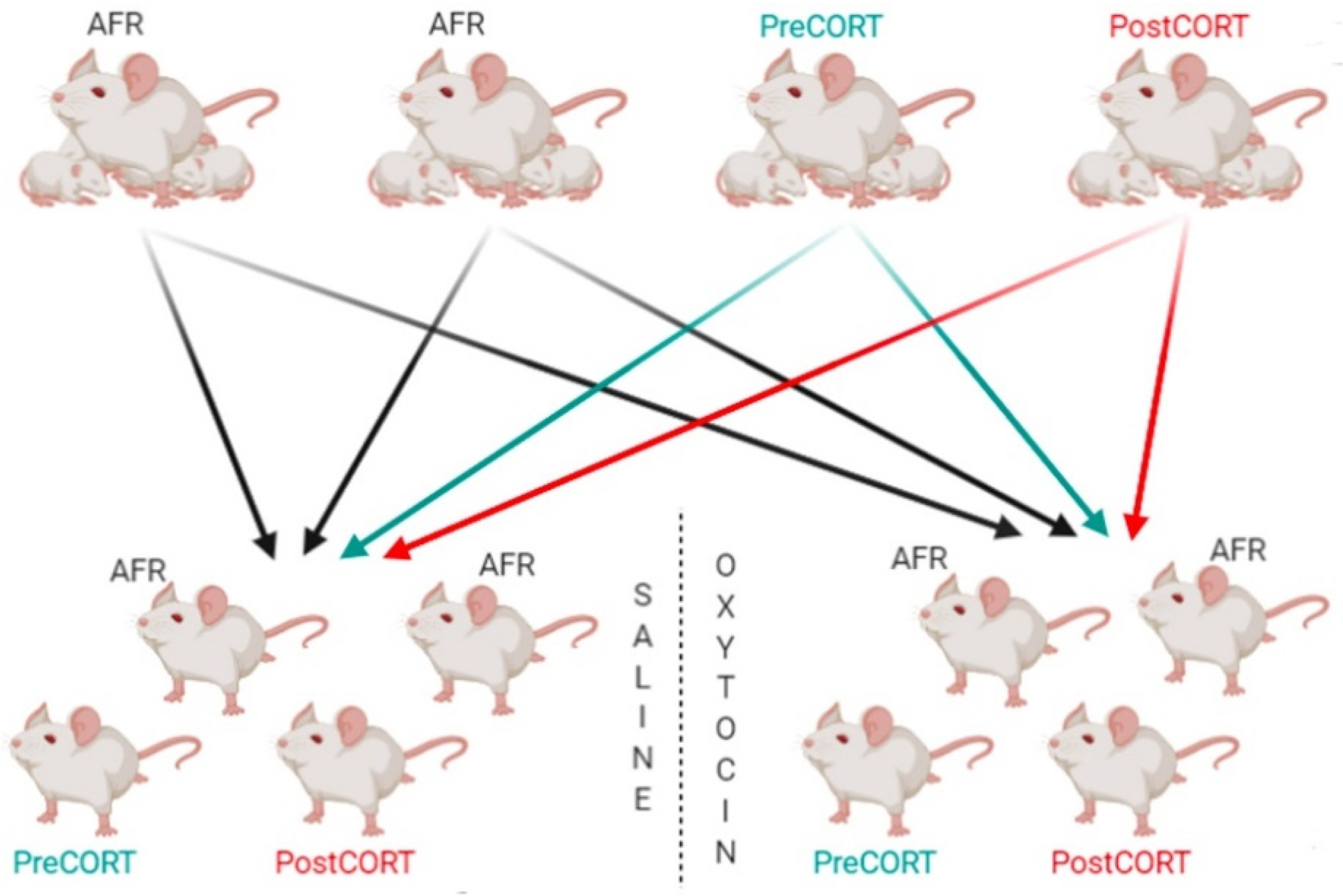 Ijms 22 05039 g018 Ijms 22 05039 g018