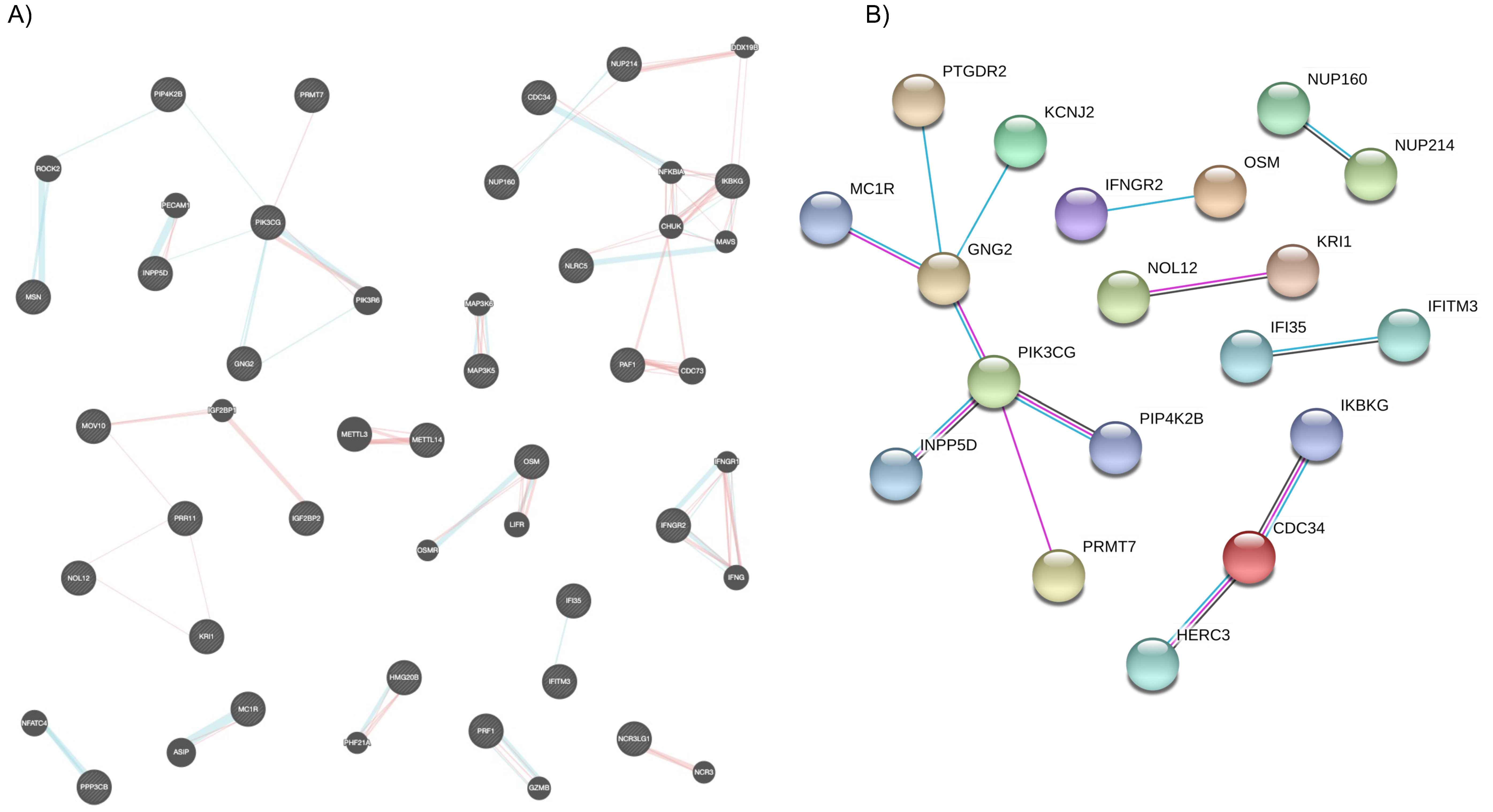 Ijms 22 05041 g002 Ijms 22 05041 g002