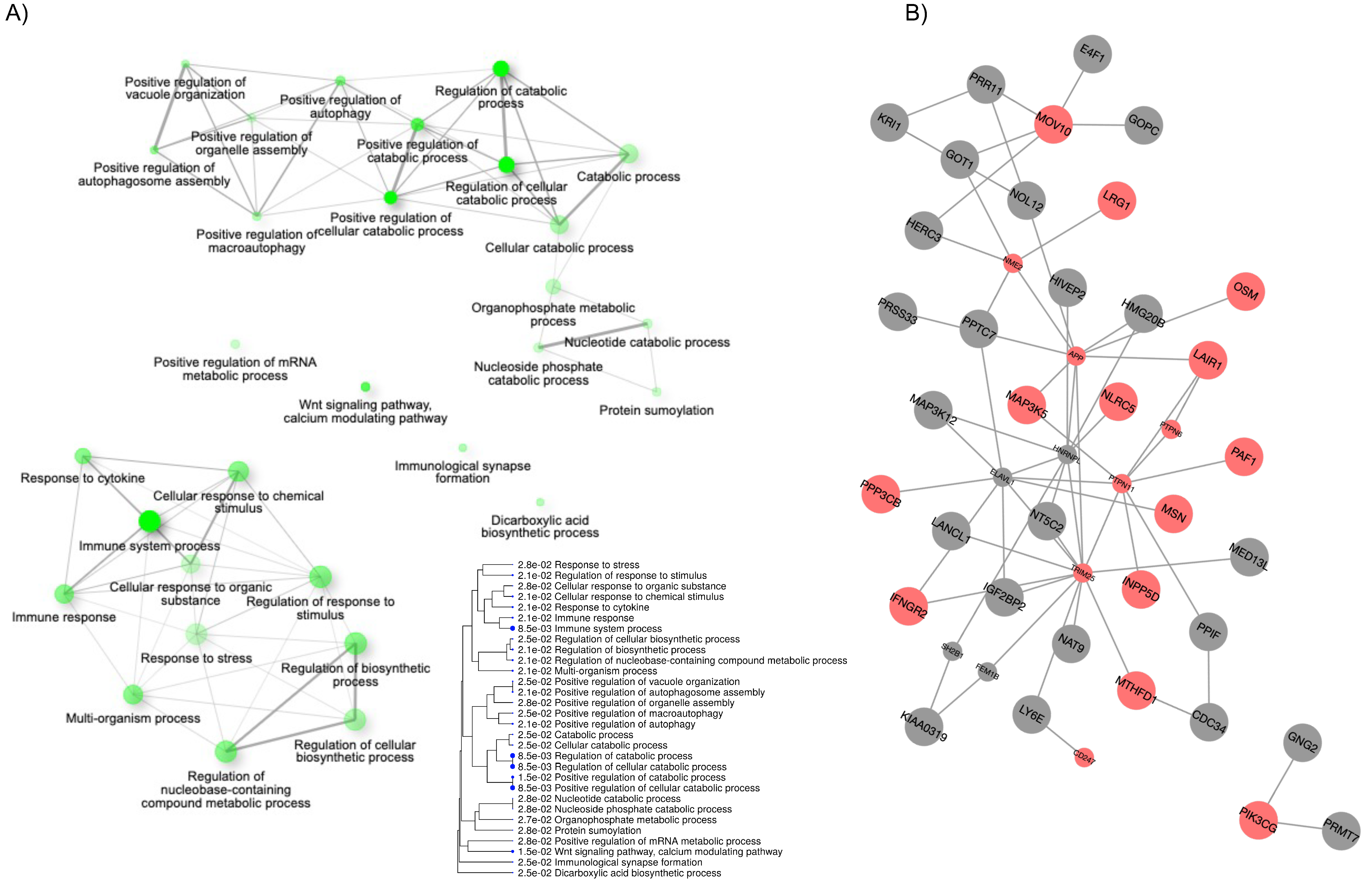 Ijms 22 05041 g003 Ijms 22 05041 g003