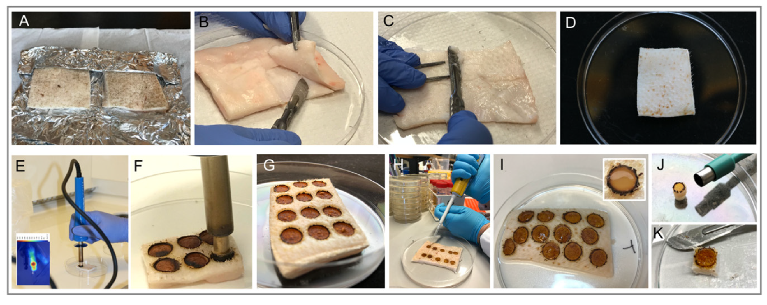 Ijms 22 05045 g002 Ijms 22 05045 g002