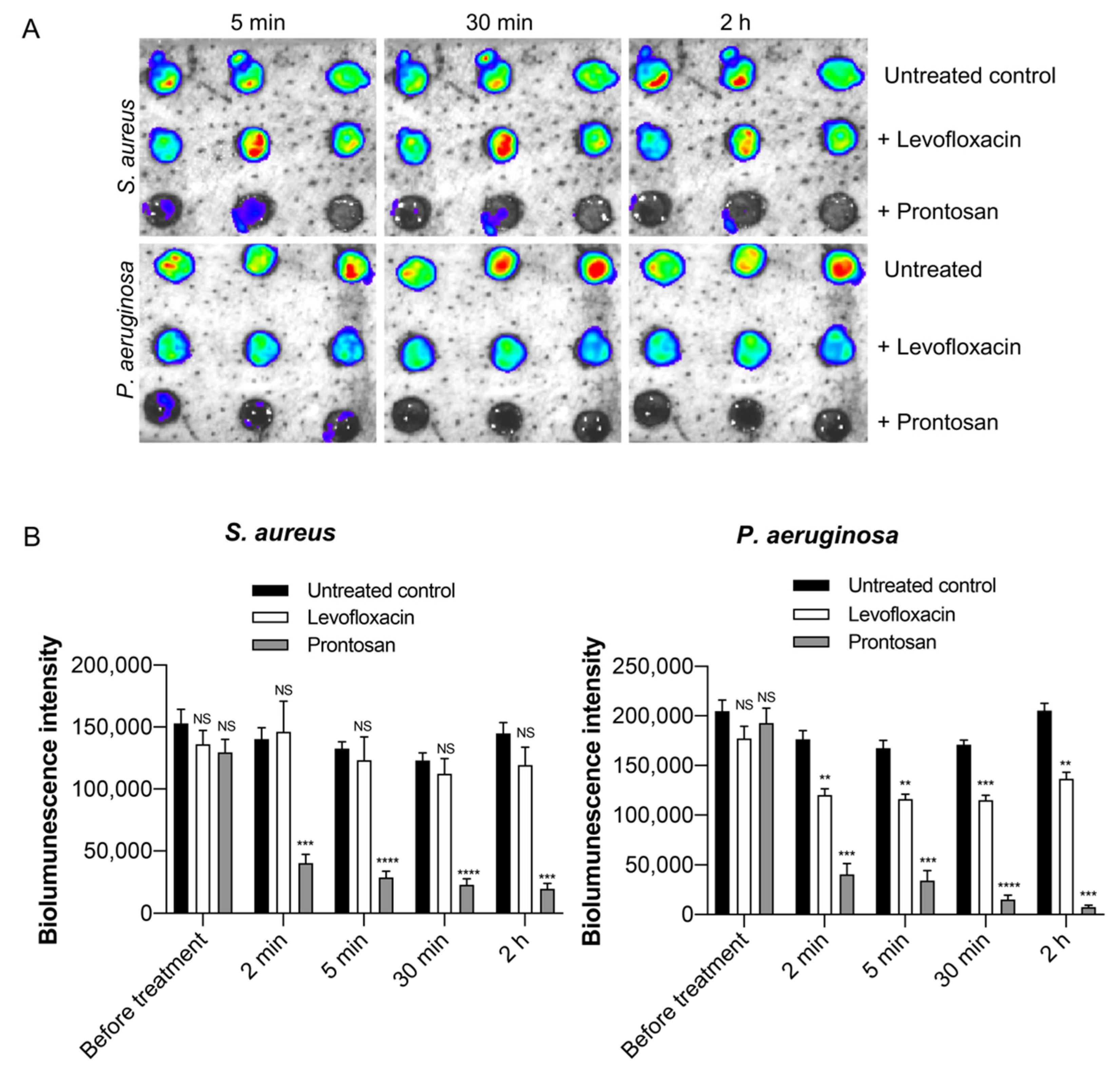 Ijms 22 05045 g006 Ijms 22 05045 g006