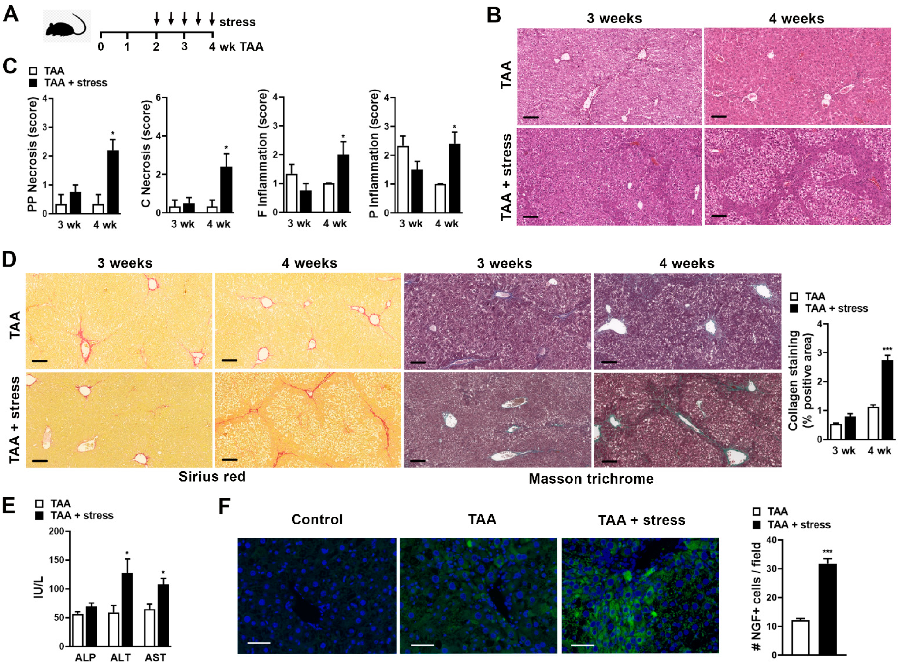 Ijms 22 05055 g001 Ijms 22 05055 g001
