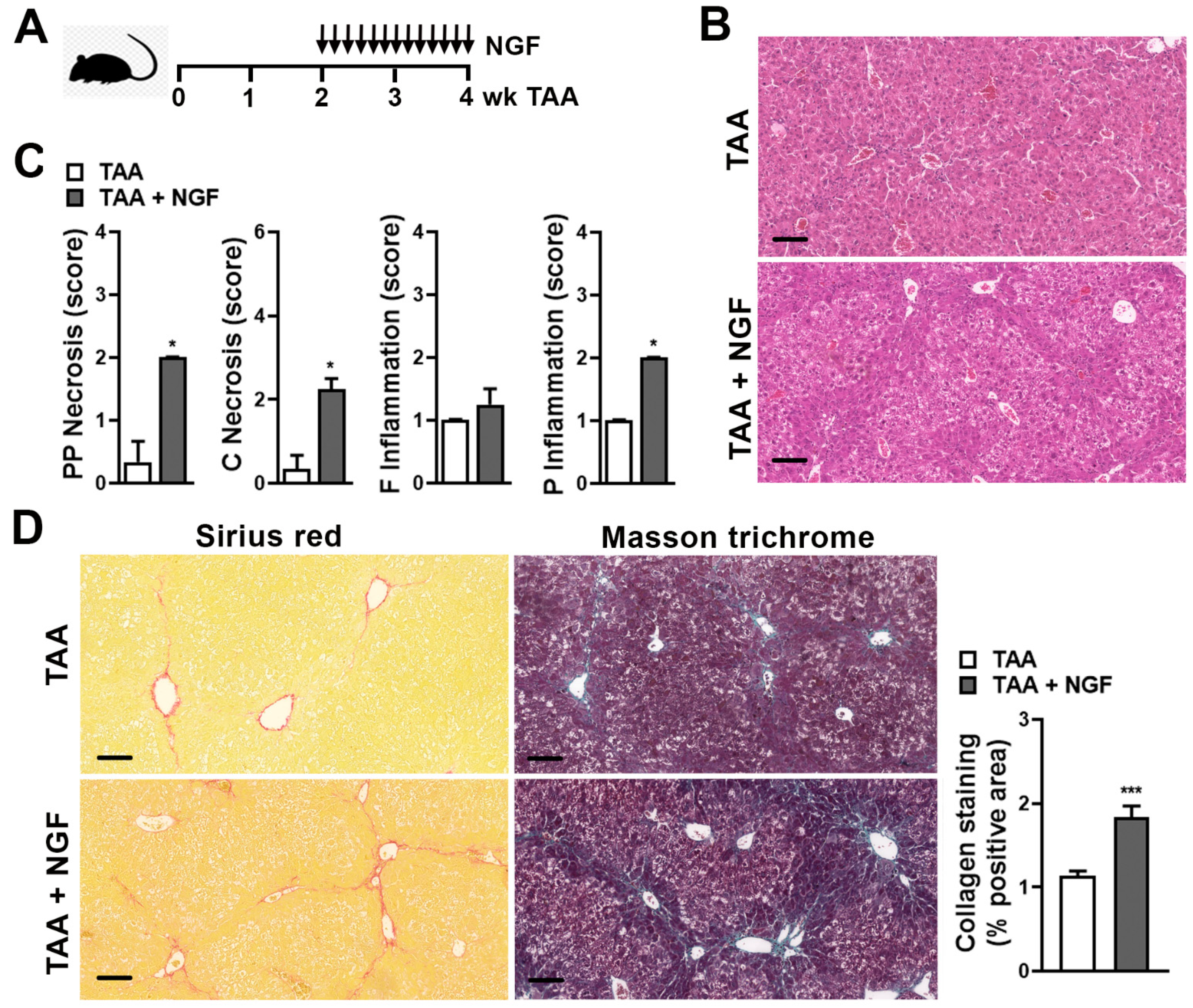 Ijms 22 05055 g003 Ijms 22 05055 g003