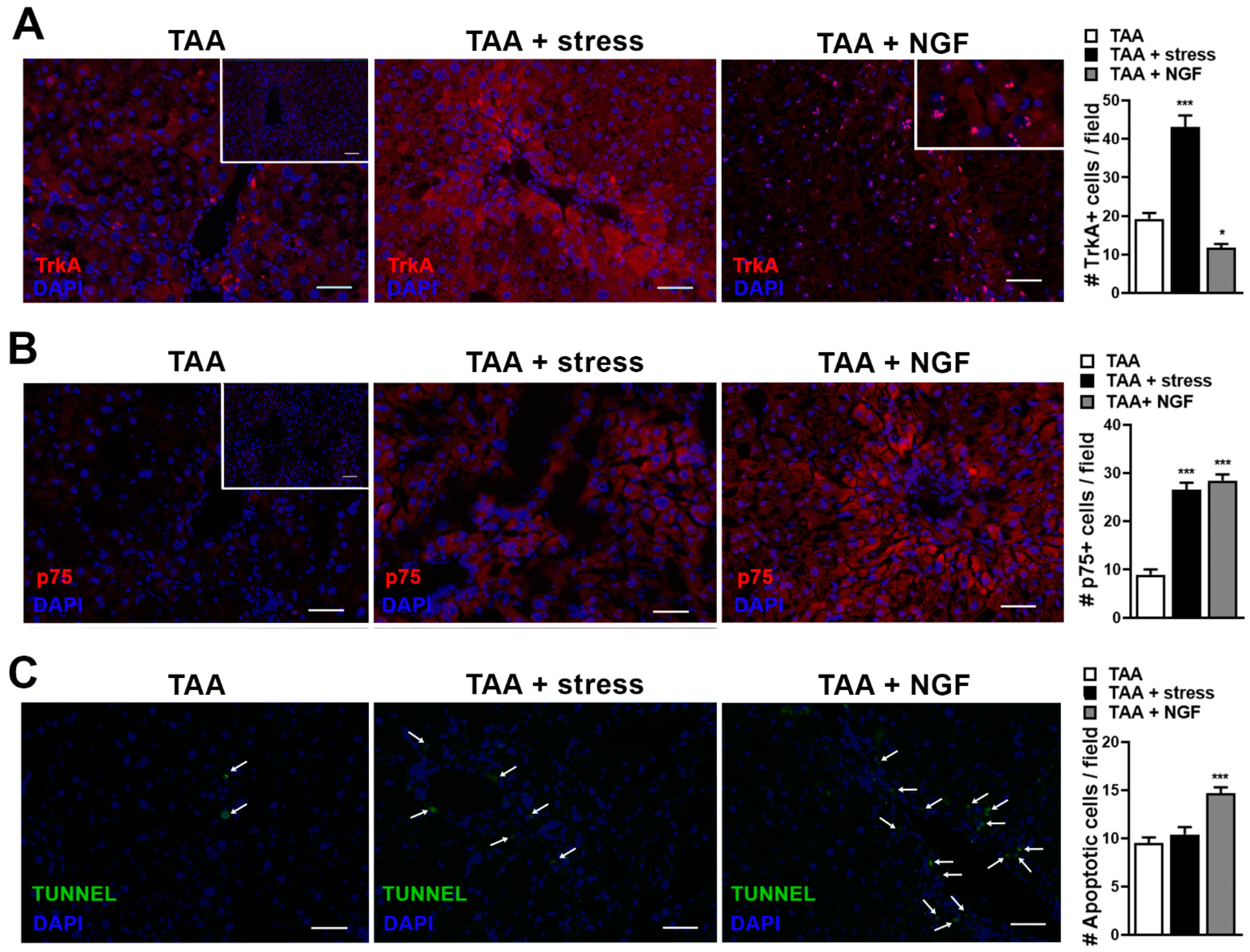 Ijms 22 05055 g004 Ijms 22 05055 g004