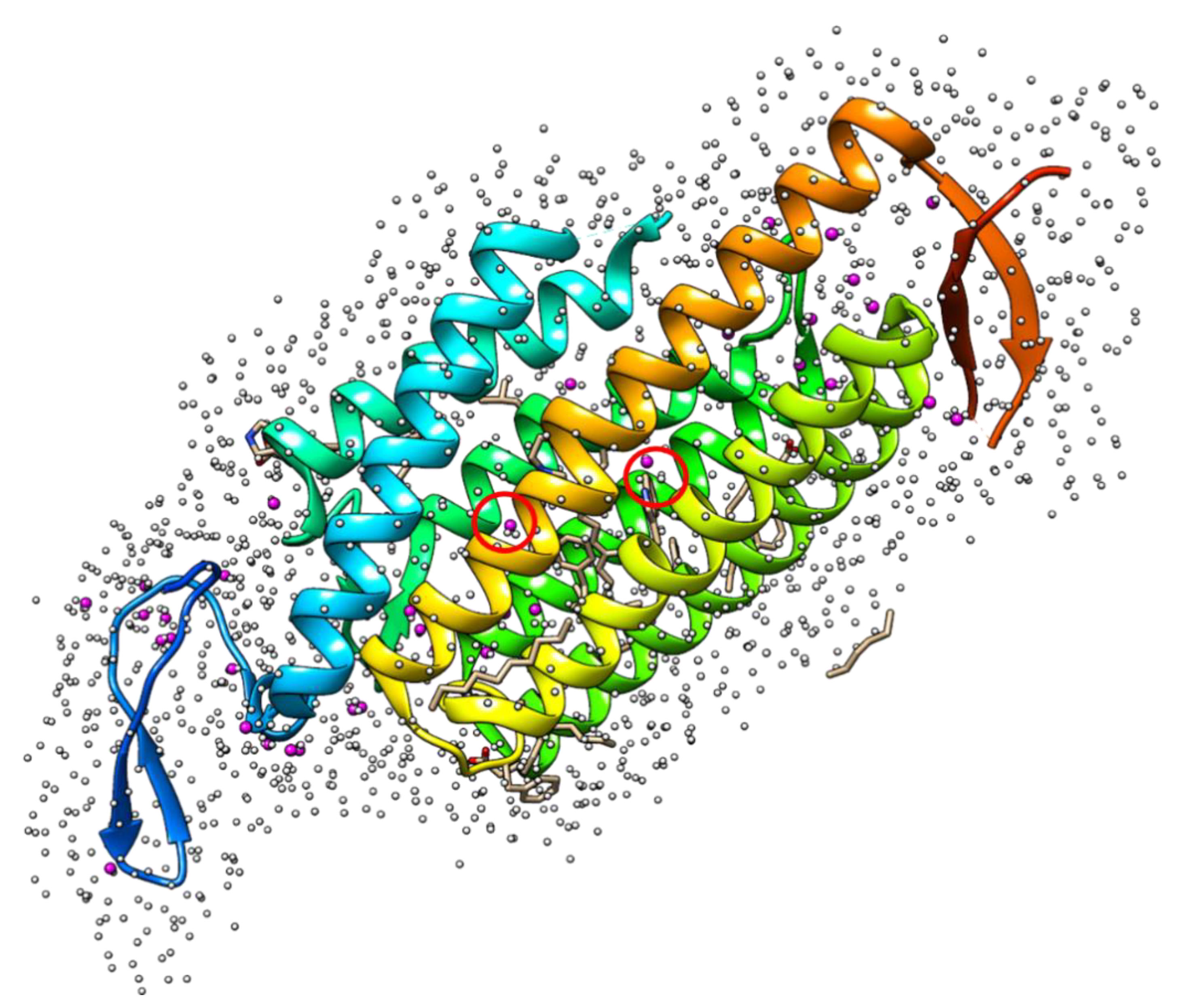 Ijms 22 05061 g003 Ijms 22 05061 g003