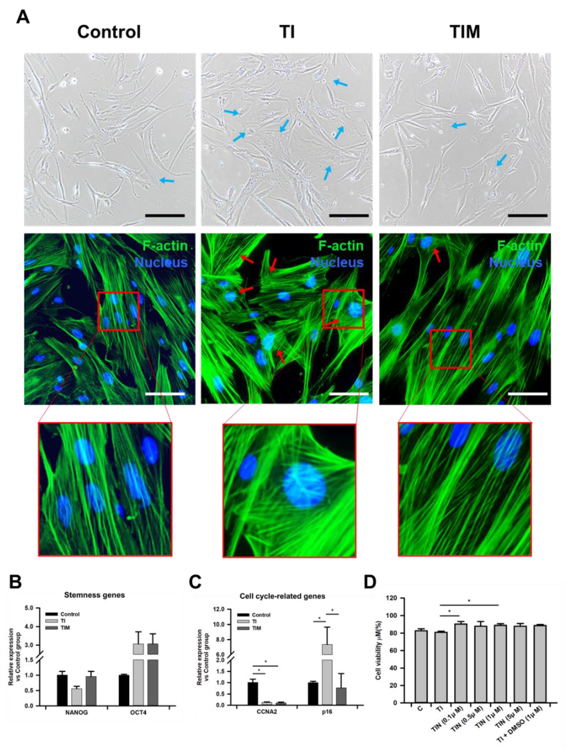 Ijms 22 05062 g001 Ijms 22 05062 g001
