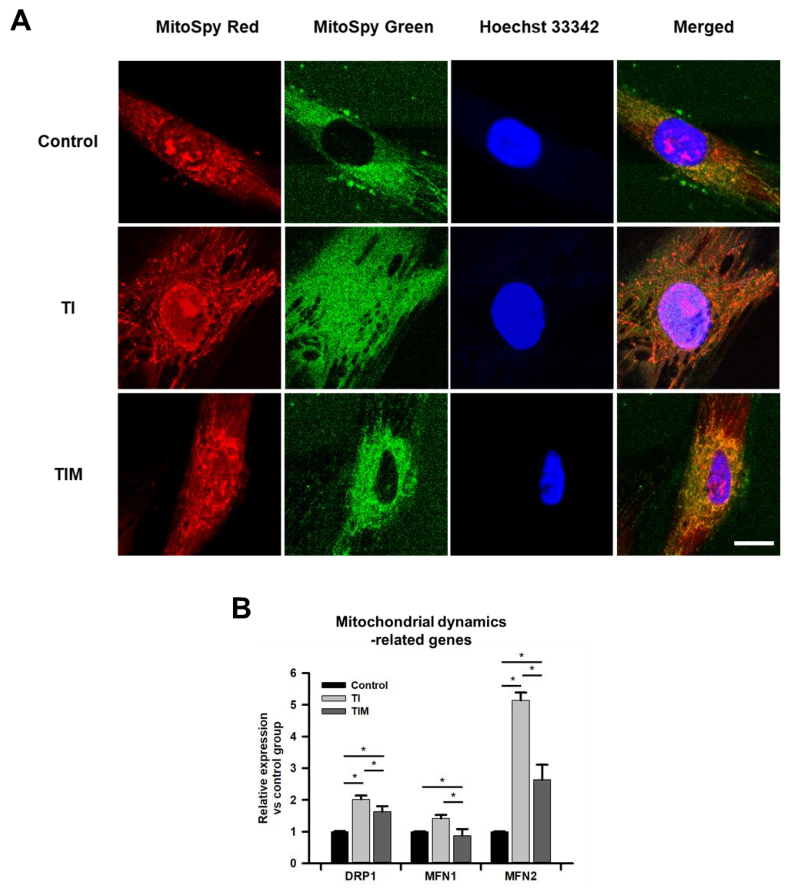 Ijms 22 05062 g002 Ijms 22 05062 g002