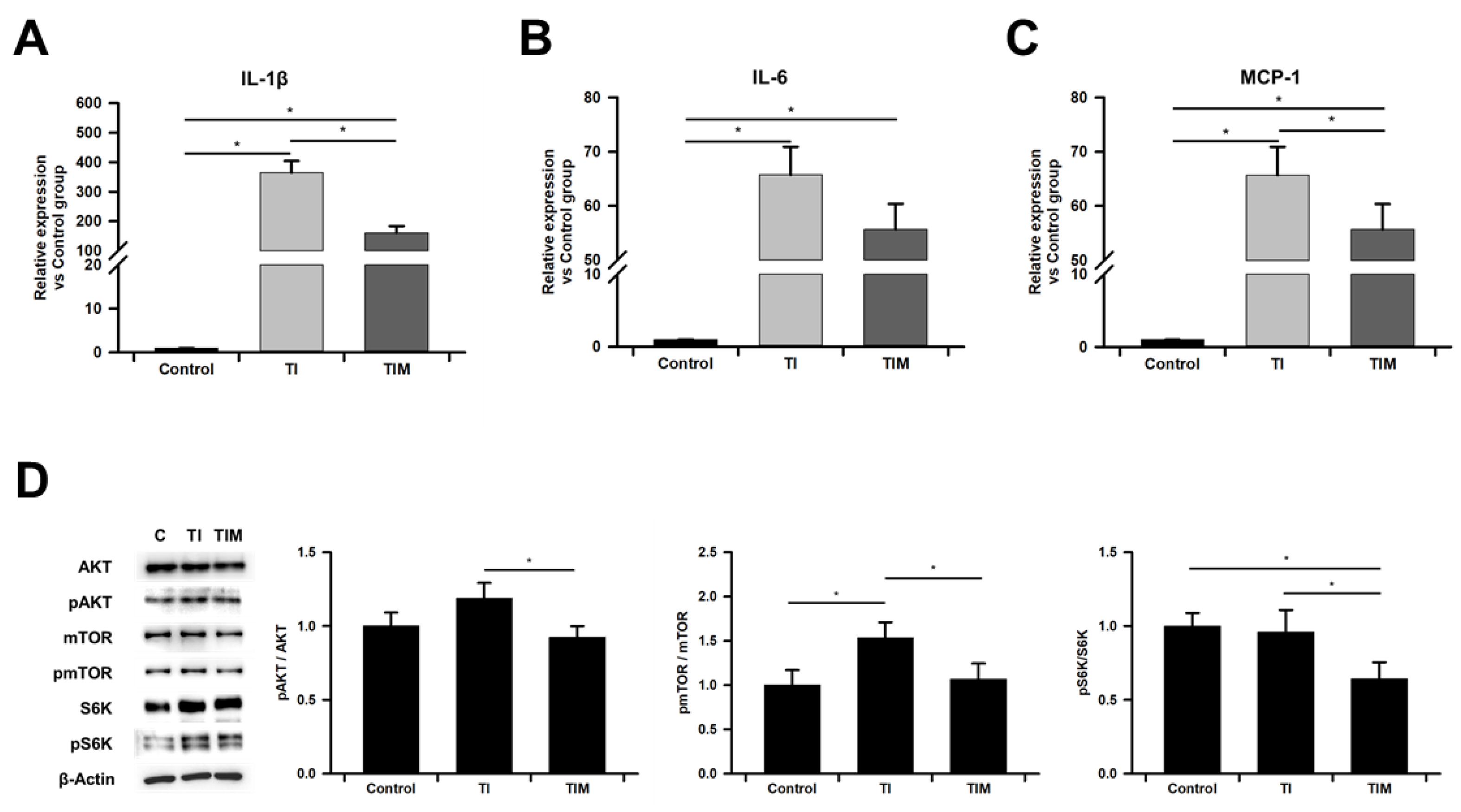 Ijms 22 05062 g004 Ijms 22 05062 g004
