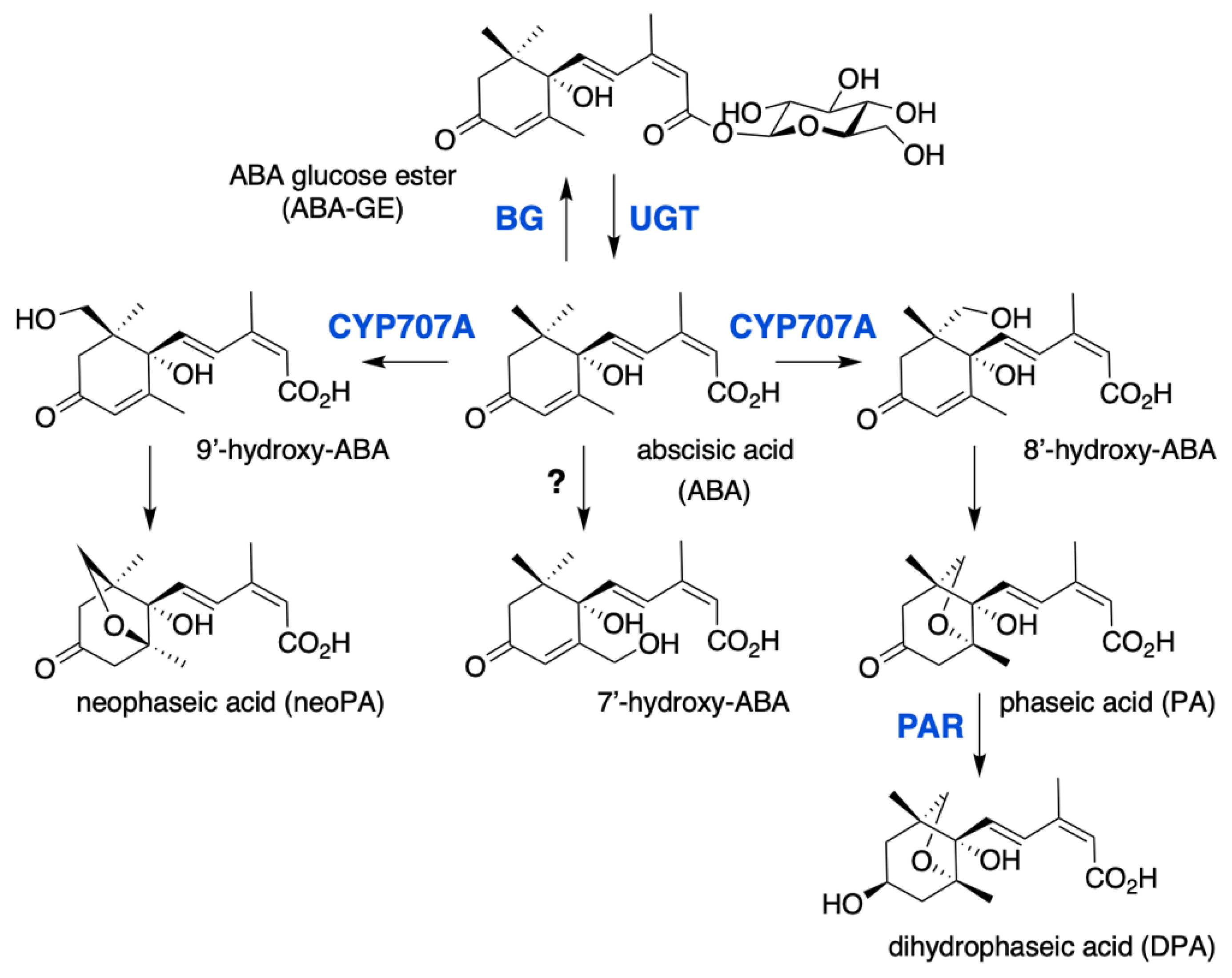 Ijms 22 05069 g002 Ijms 22 05069 g002