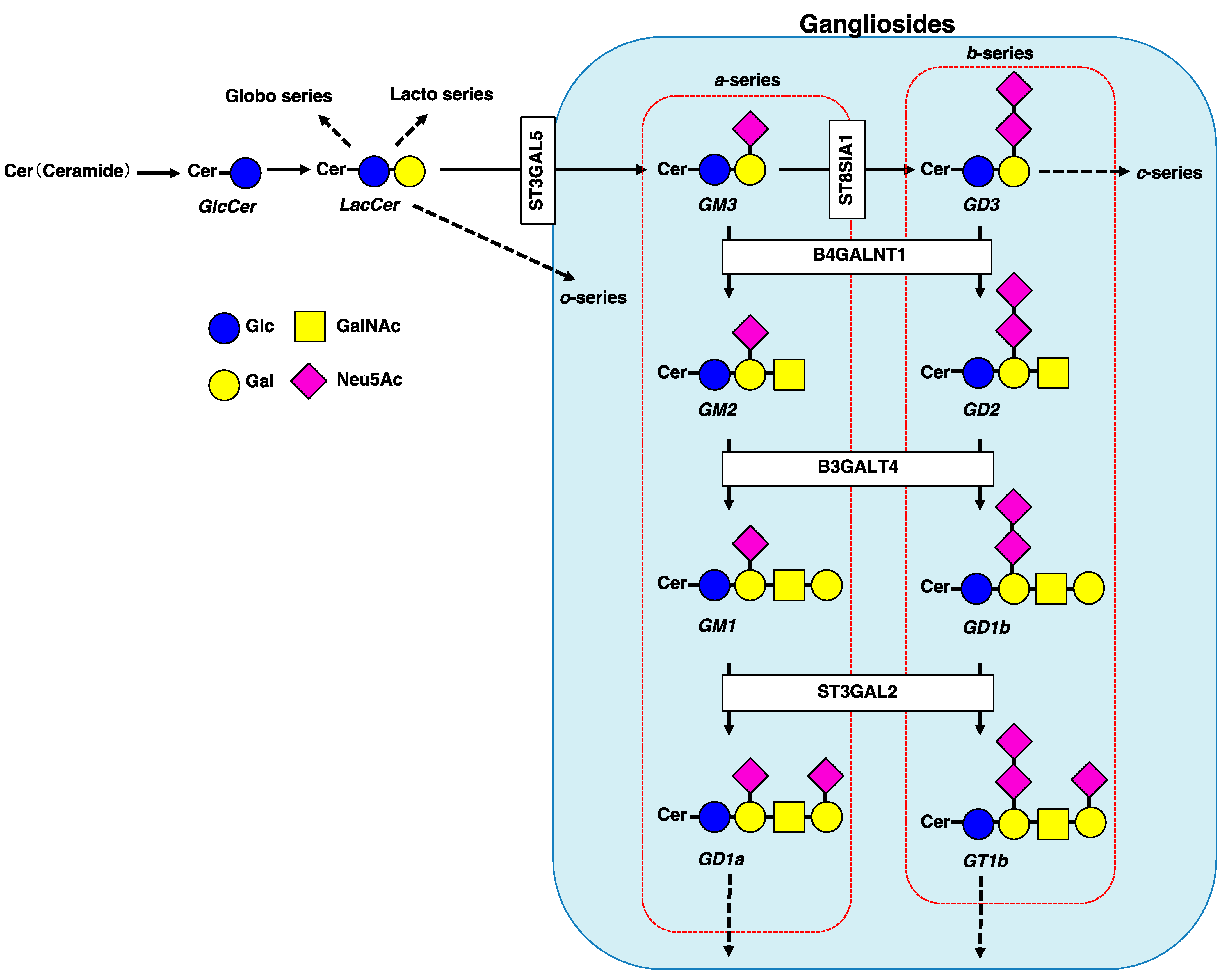 Ijms Free Full Text Gangliosides As Signaling Regulators In Cancer Html