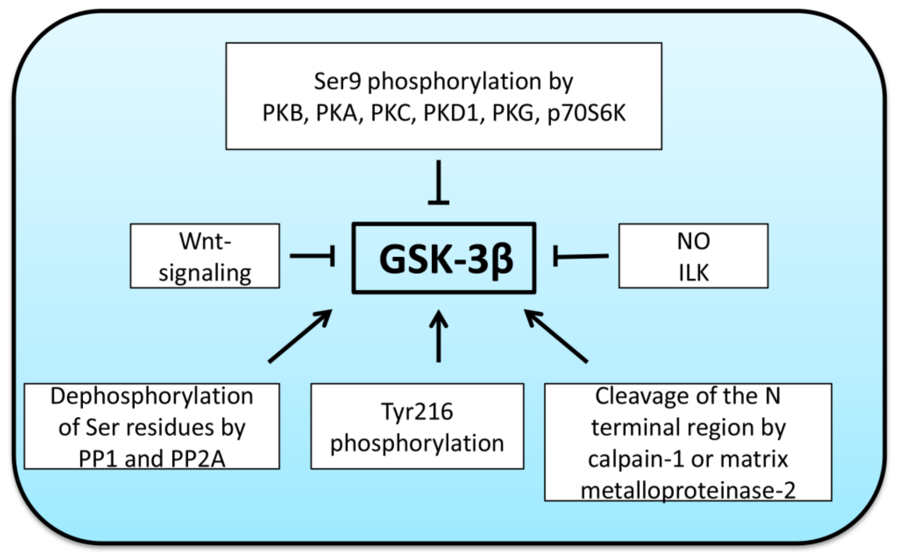 Ijms 22 05081 g001 Ijms 22 05081 g001
