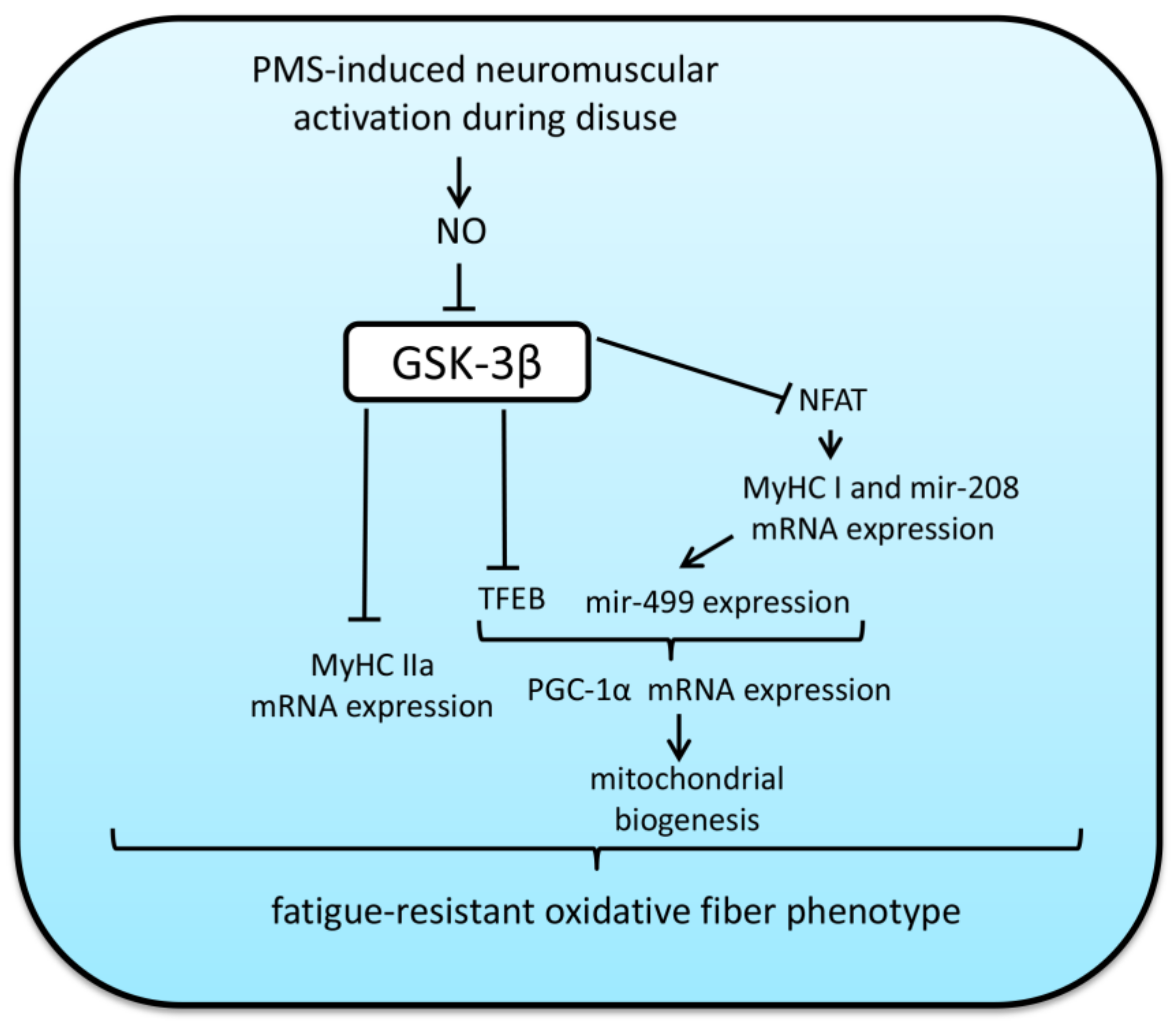 Ijms 22 05081 g004 Ijms 22 05081 g004
