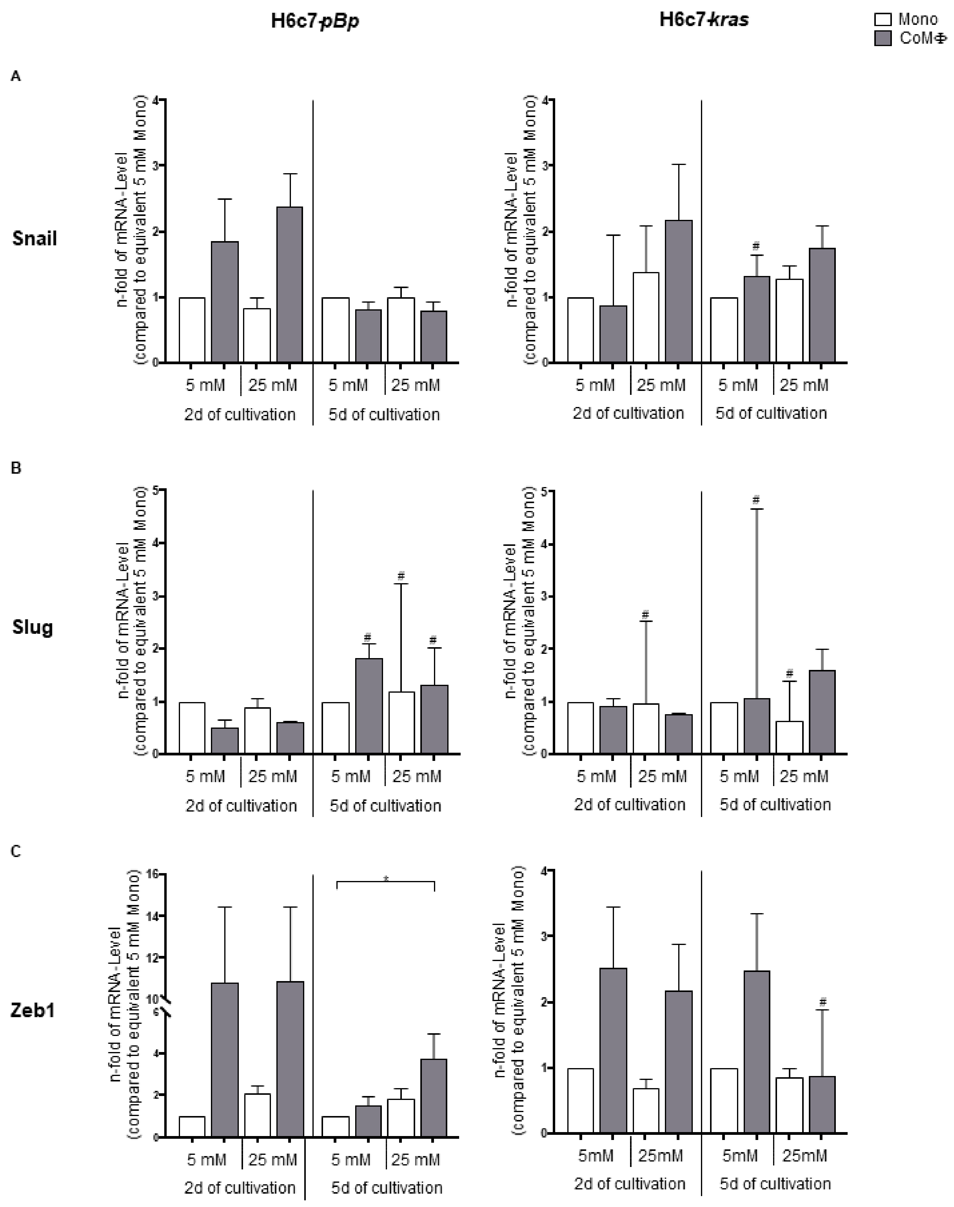 Ijms 22 05086 g002 Ijms 22 05086 g002