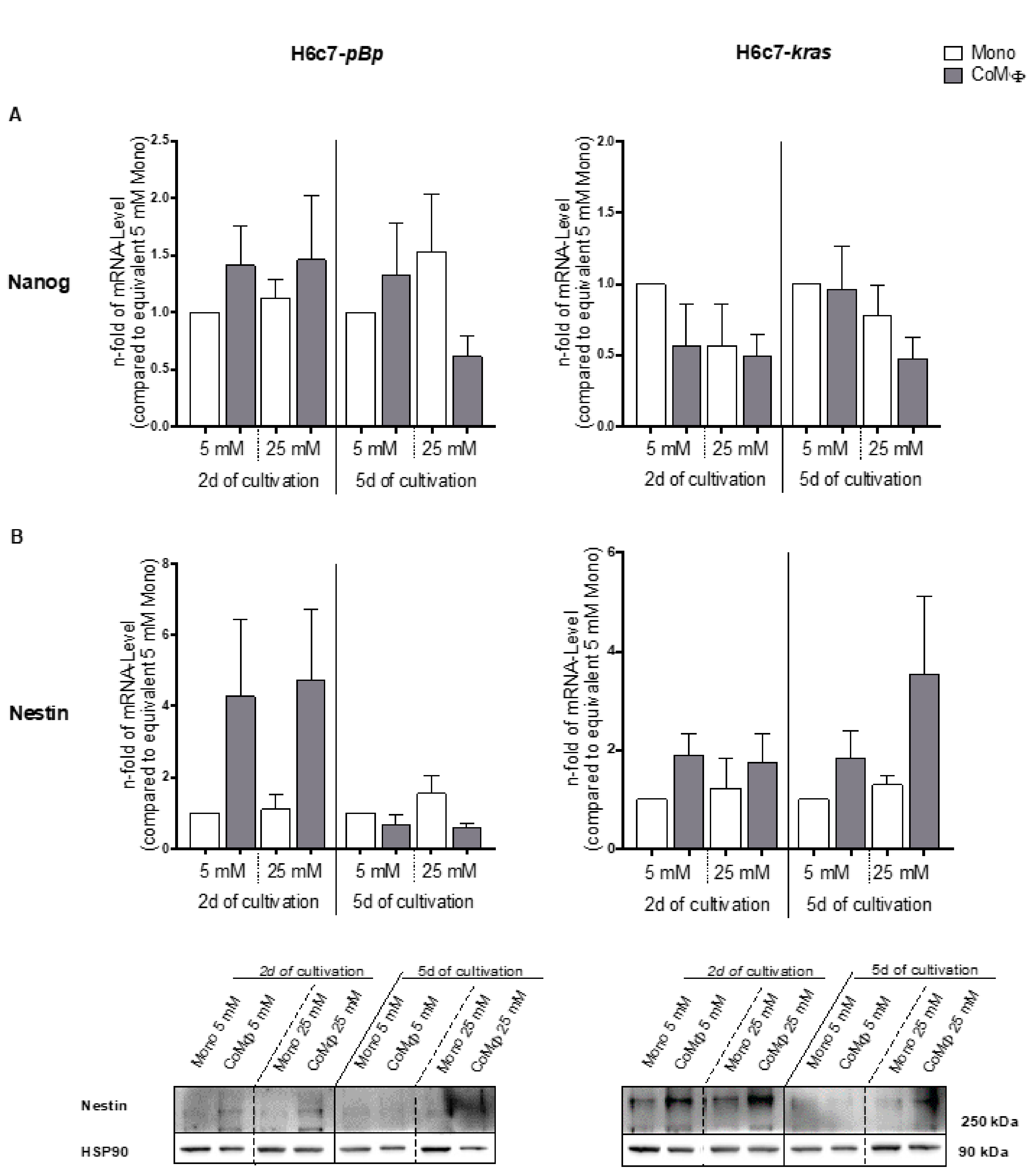 Ijms 22 05086 g003 Ijms 22 05086 g003