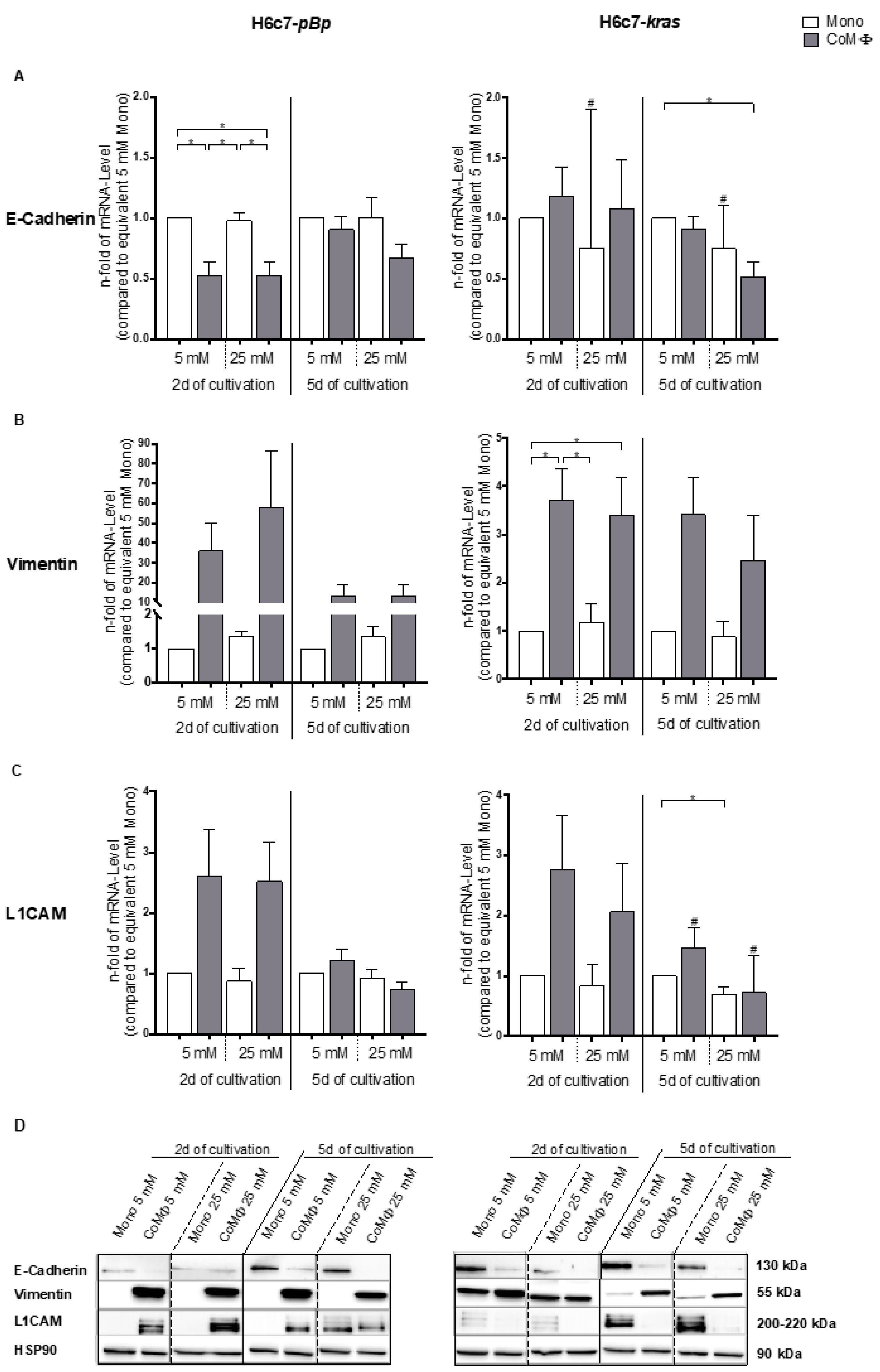 Ijms 22 05086 g005 Ijms 22 05086 g005