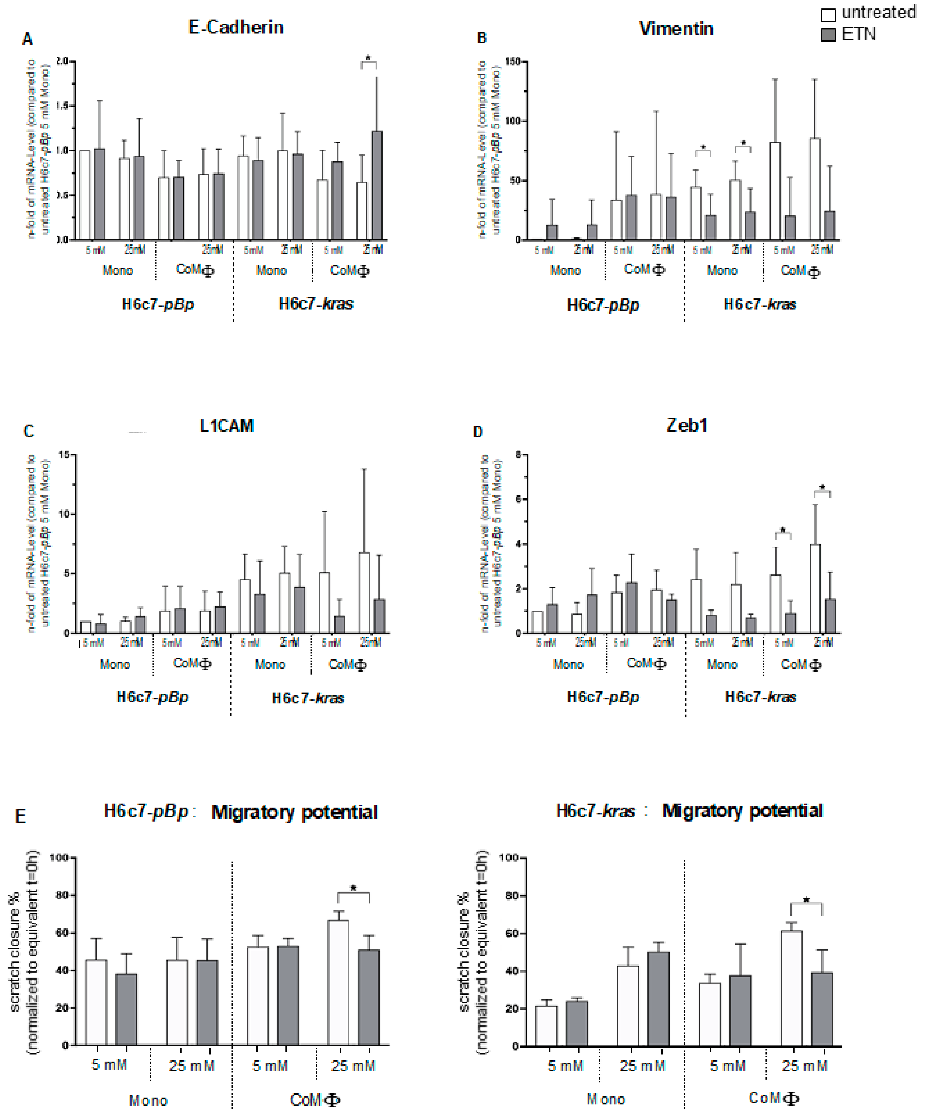 Ijms 22 05086 g008 Ijms 22 05086 g008