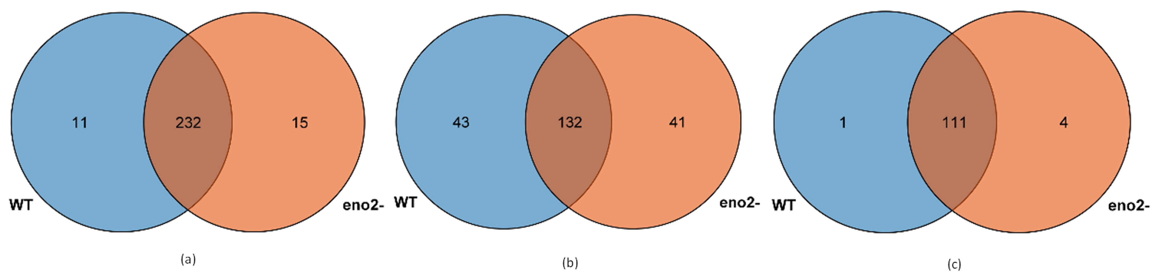 Ijms 22 05088 g003 Ijms 22 05088 g003