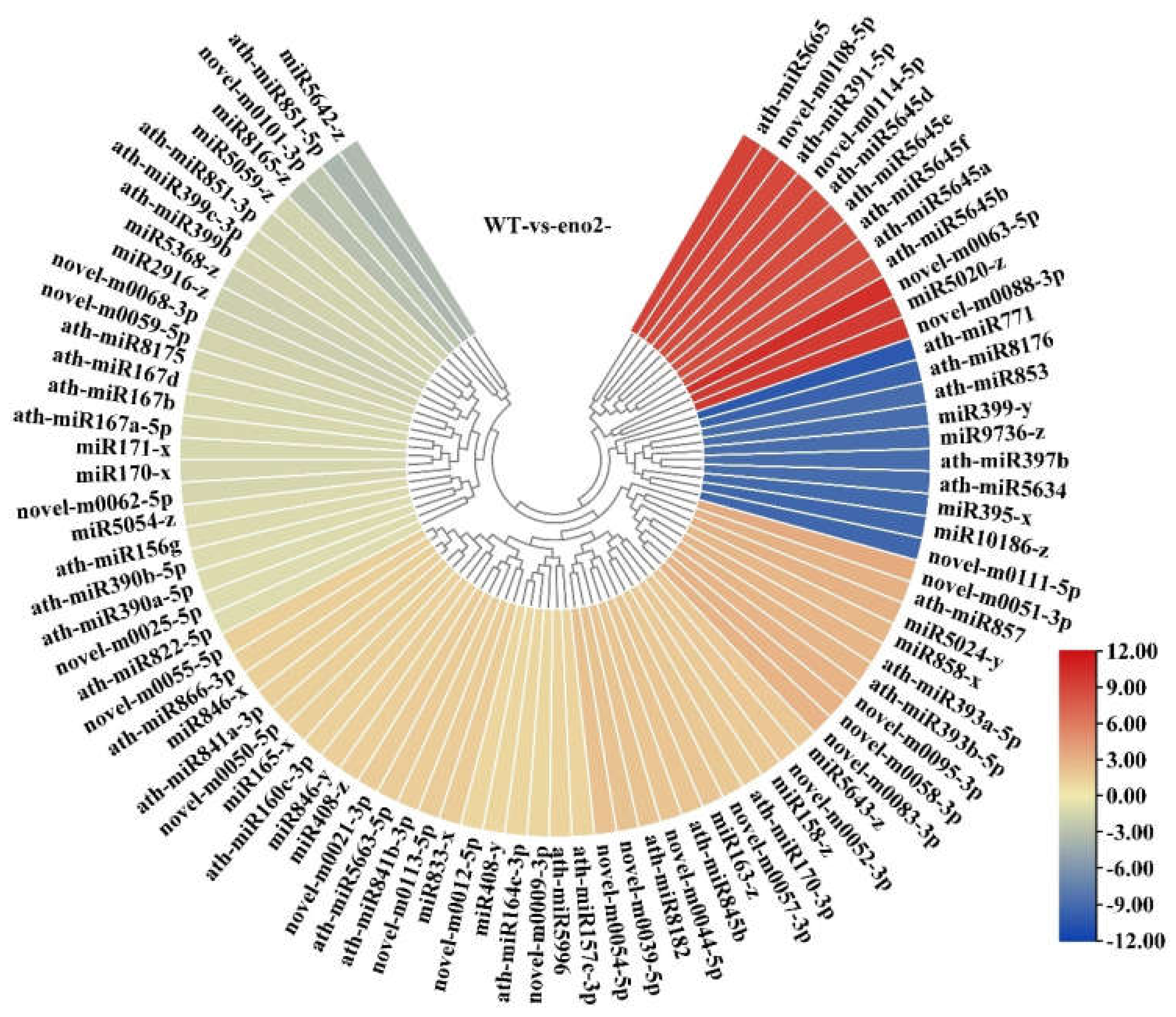 Ijms 22 05088 g005 Ijms 22 05088 g005