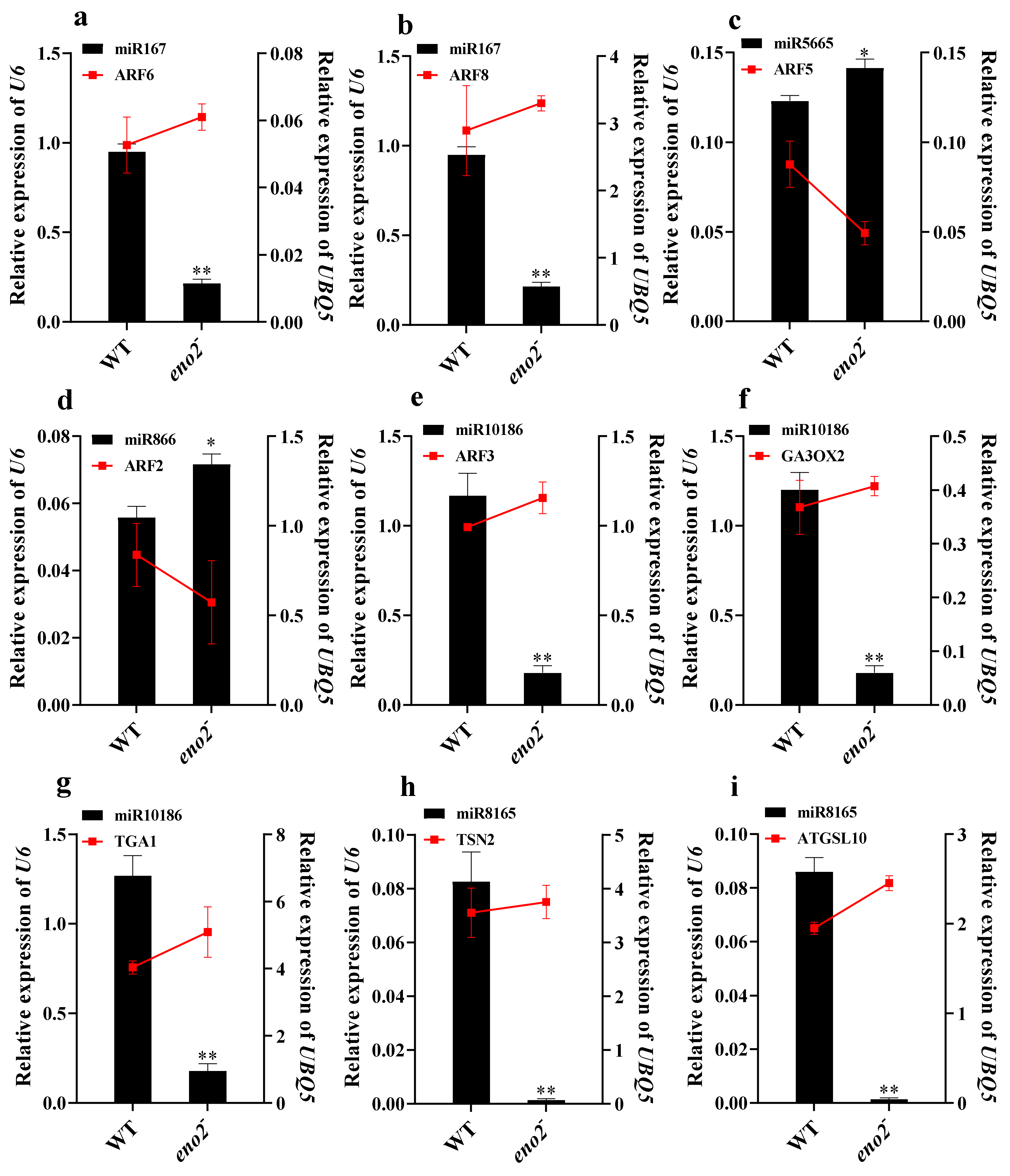 Ijms 22 05088 g009a Ijms 22 05088 g009a