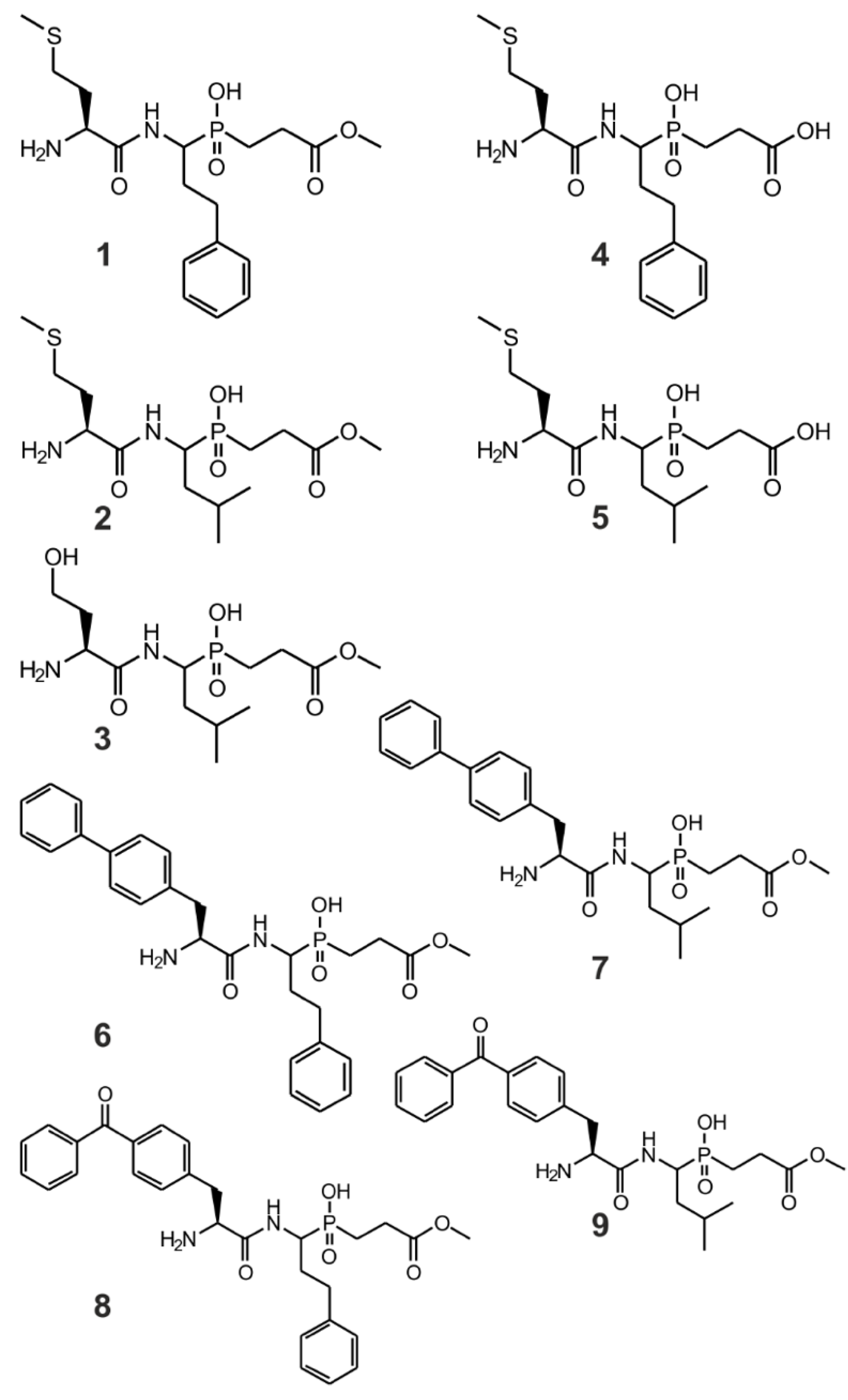Ijms 22 05090 g002 Ijms 22 05090 g002