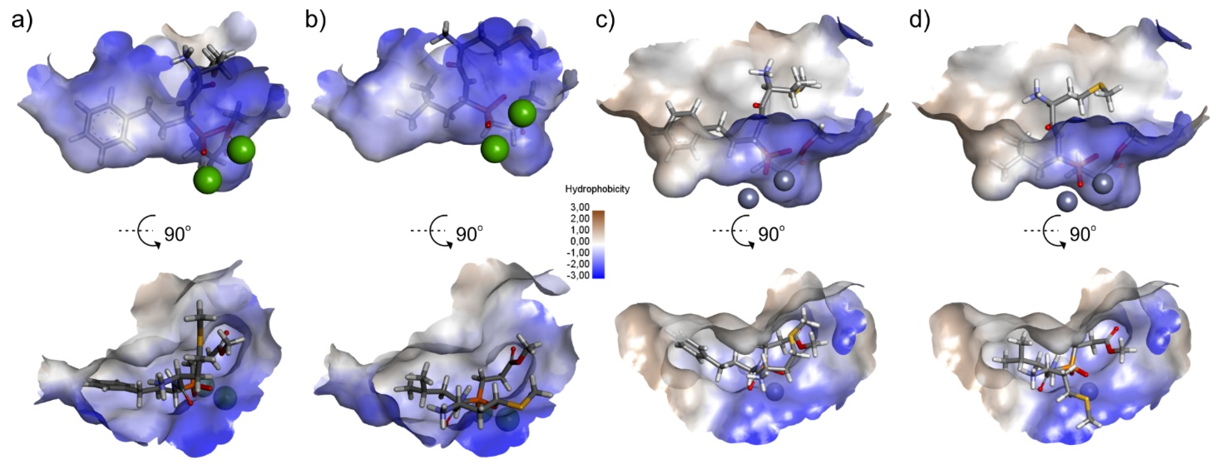 Ijms 22 05090 g005 Ijms 22 05090 g005