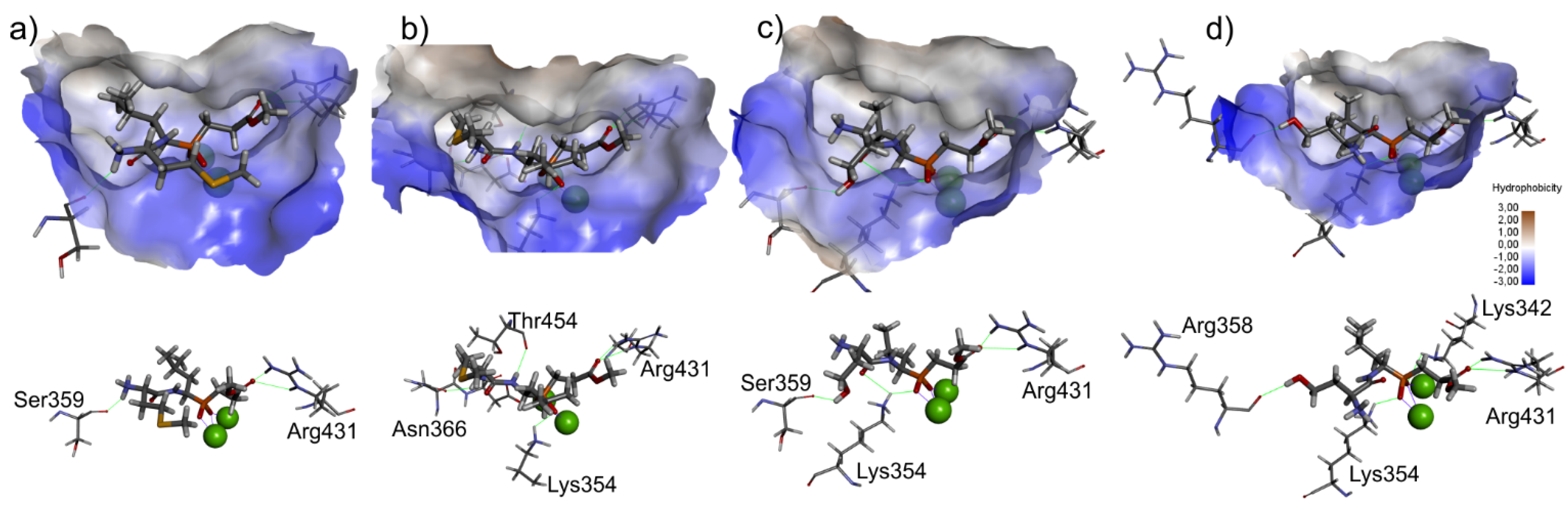 Ijms 22 05090 g006 Ijms 22 05090 g006