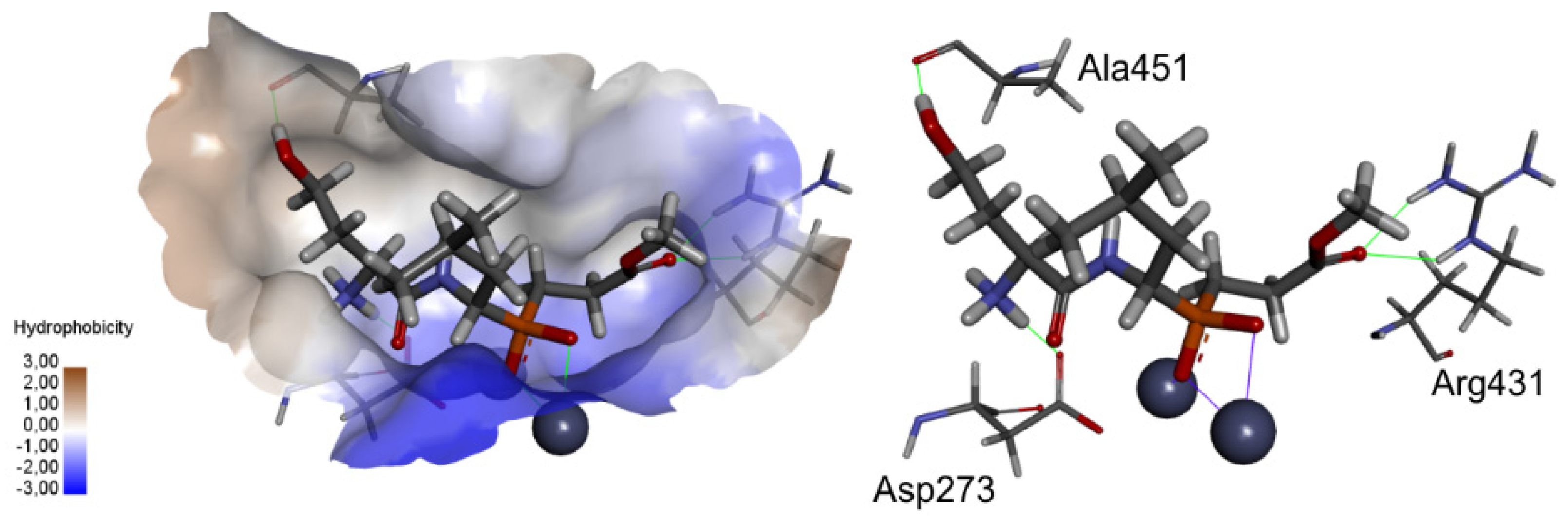 Ijms 22 05090 g007 Ijms 22 05090 g007