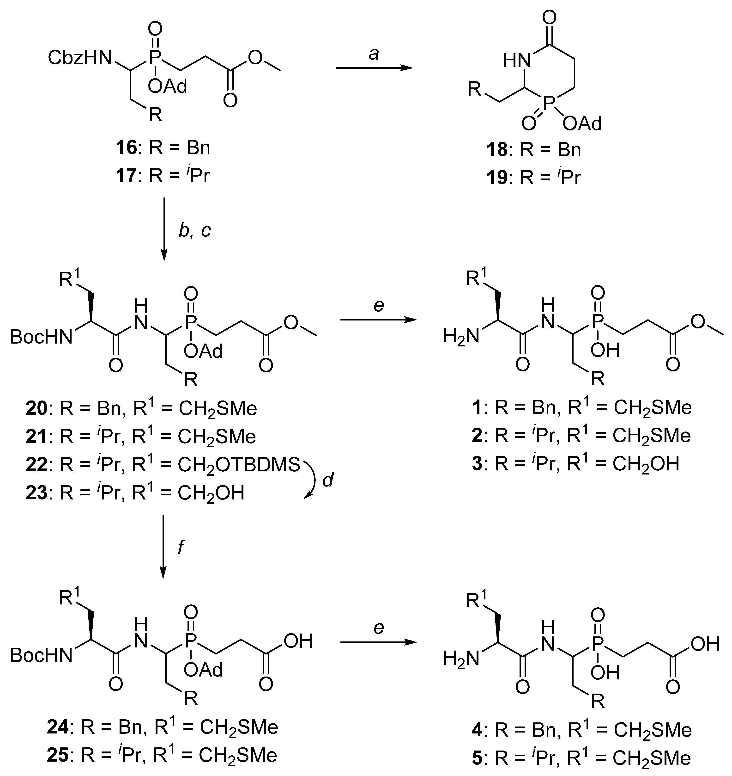 Ijms 22 05090 sch003 Ijms 22 05090 sch003