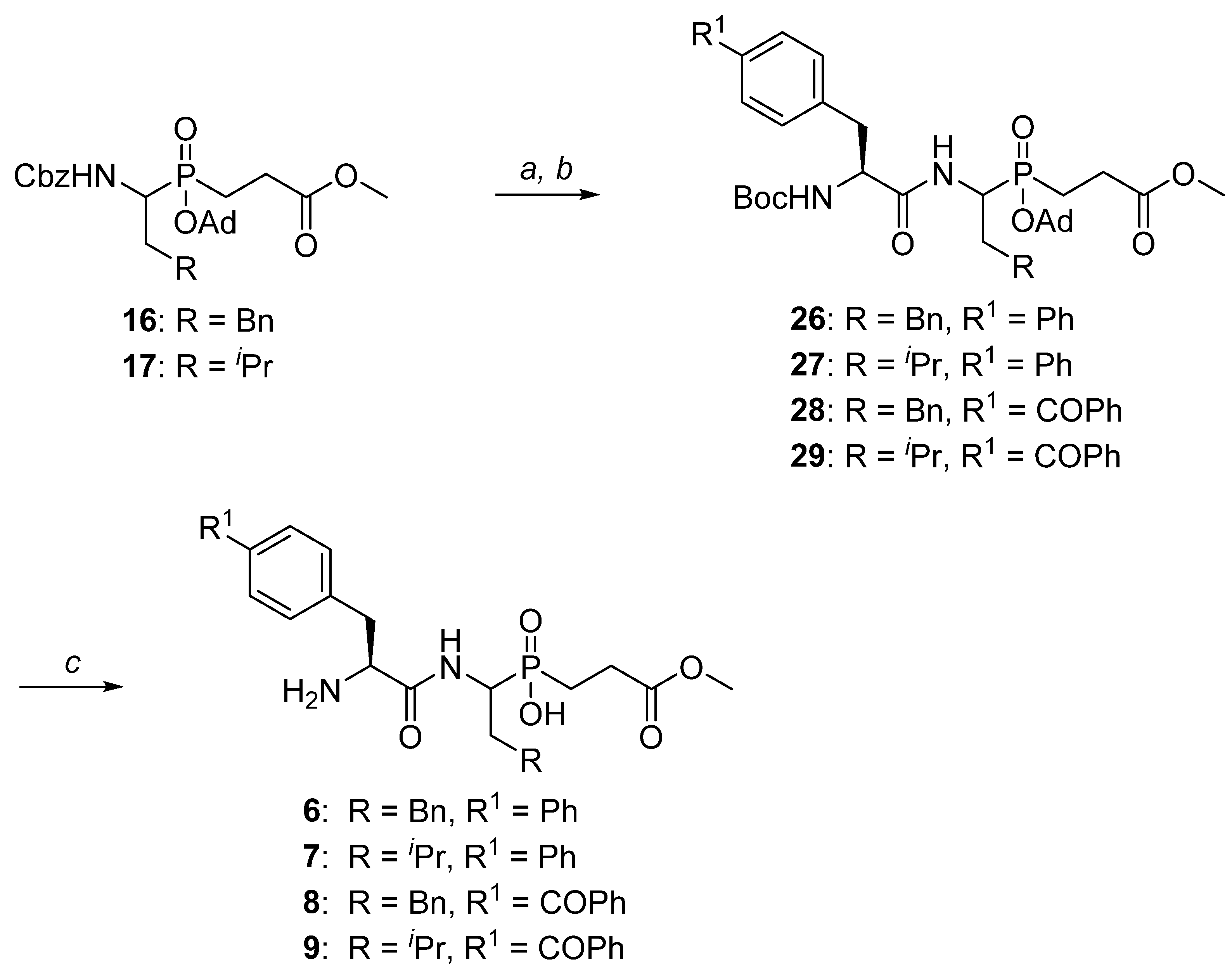 Ijms 22 05090 sch004 Ijms 22 05090 sch004