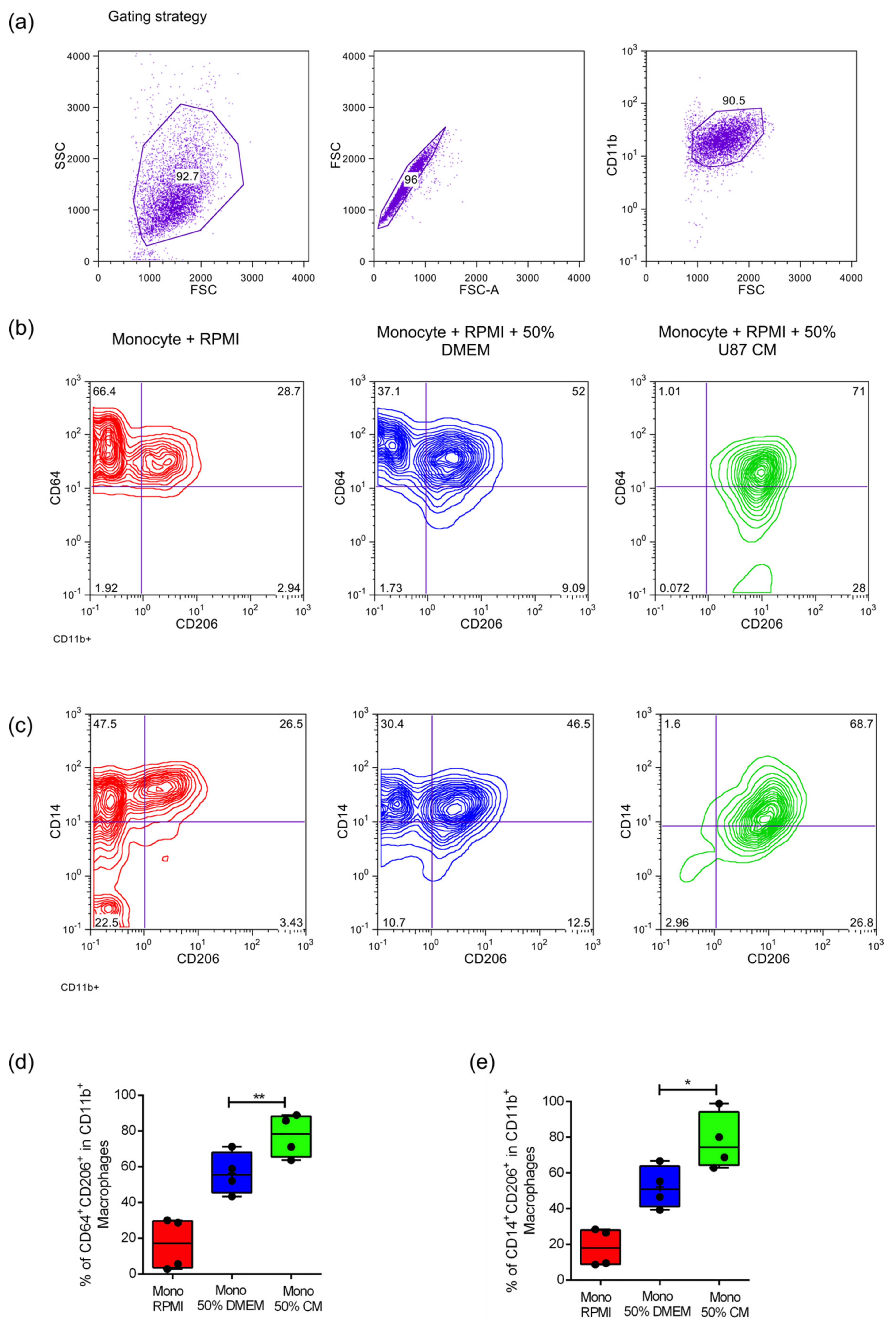 Ijms 22 05105 g001 Ijms 22 05105 g001