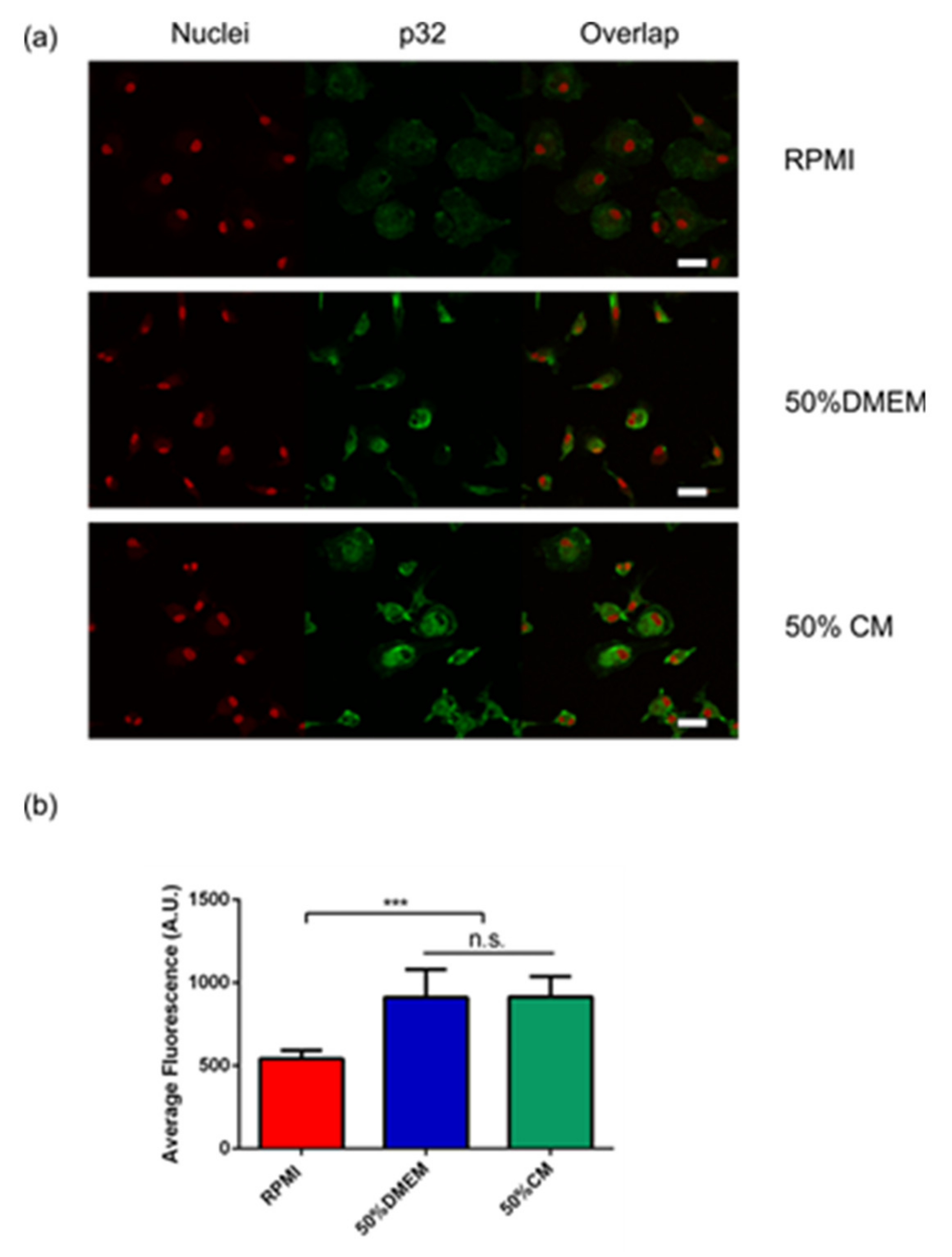 Ijms 22 05105 g002 Ijms 22 05105 g002