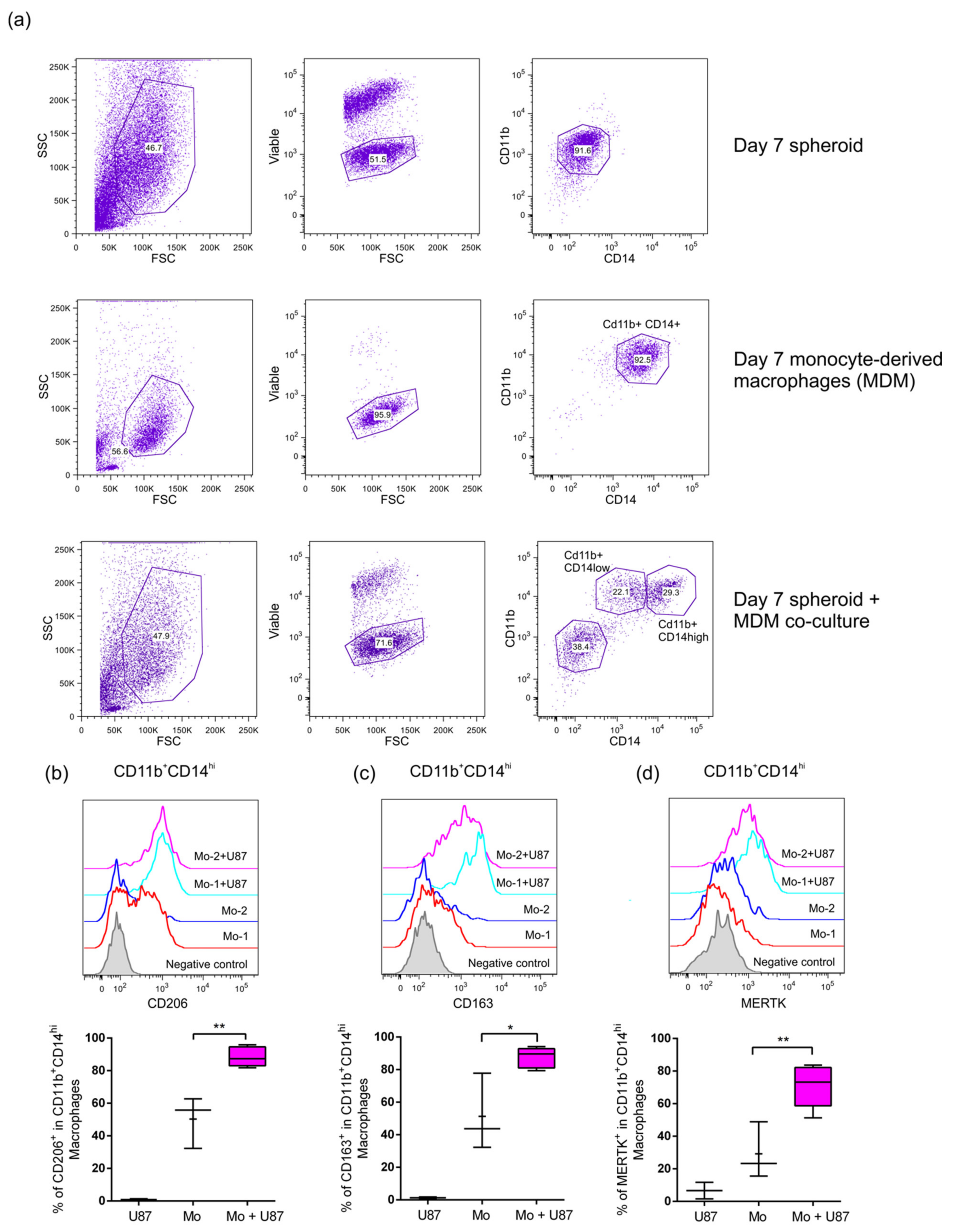 Ijms 22 05105 g004 Ijms 22 05105 g004