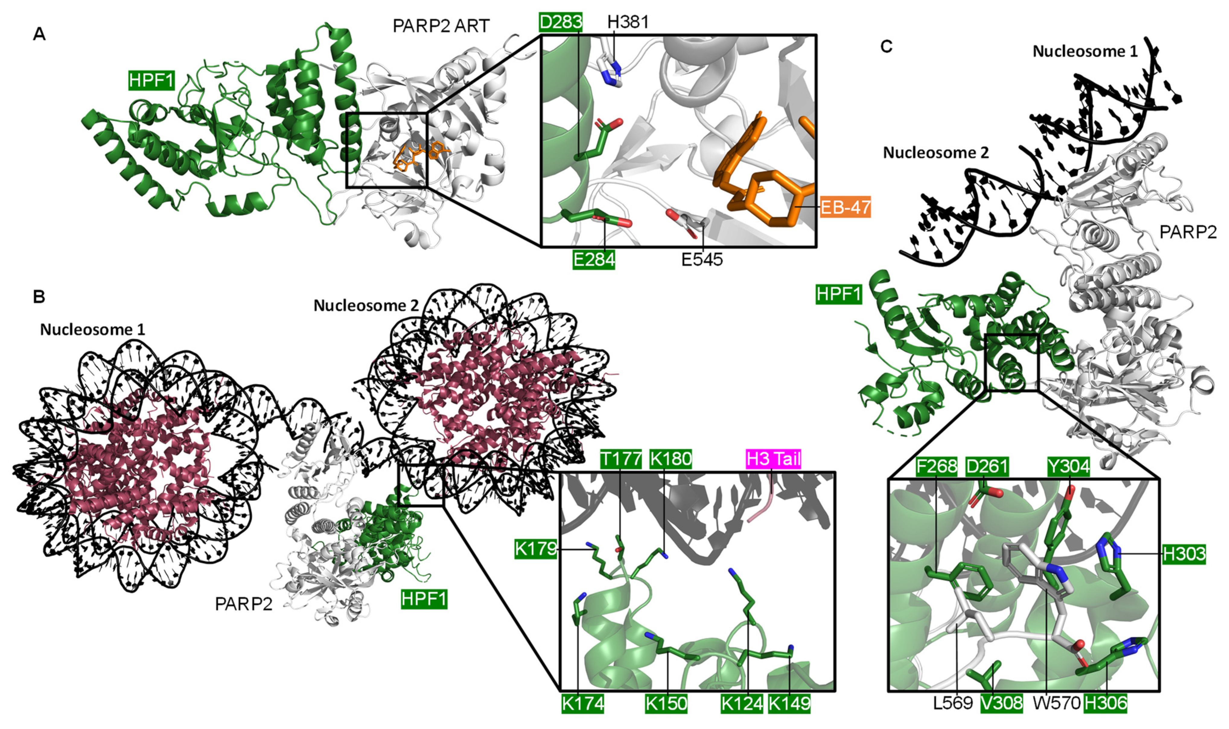 Ijms 22 05112 g005 Ijms 22 05112 g005