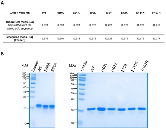 Ijms Free Full Text Molecular Basis Of Complement C1q Collagen Like Region Interaction With The Immunoglobulin Like Receptor Lair 1 Html