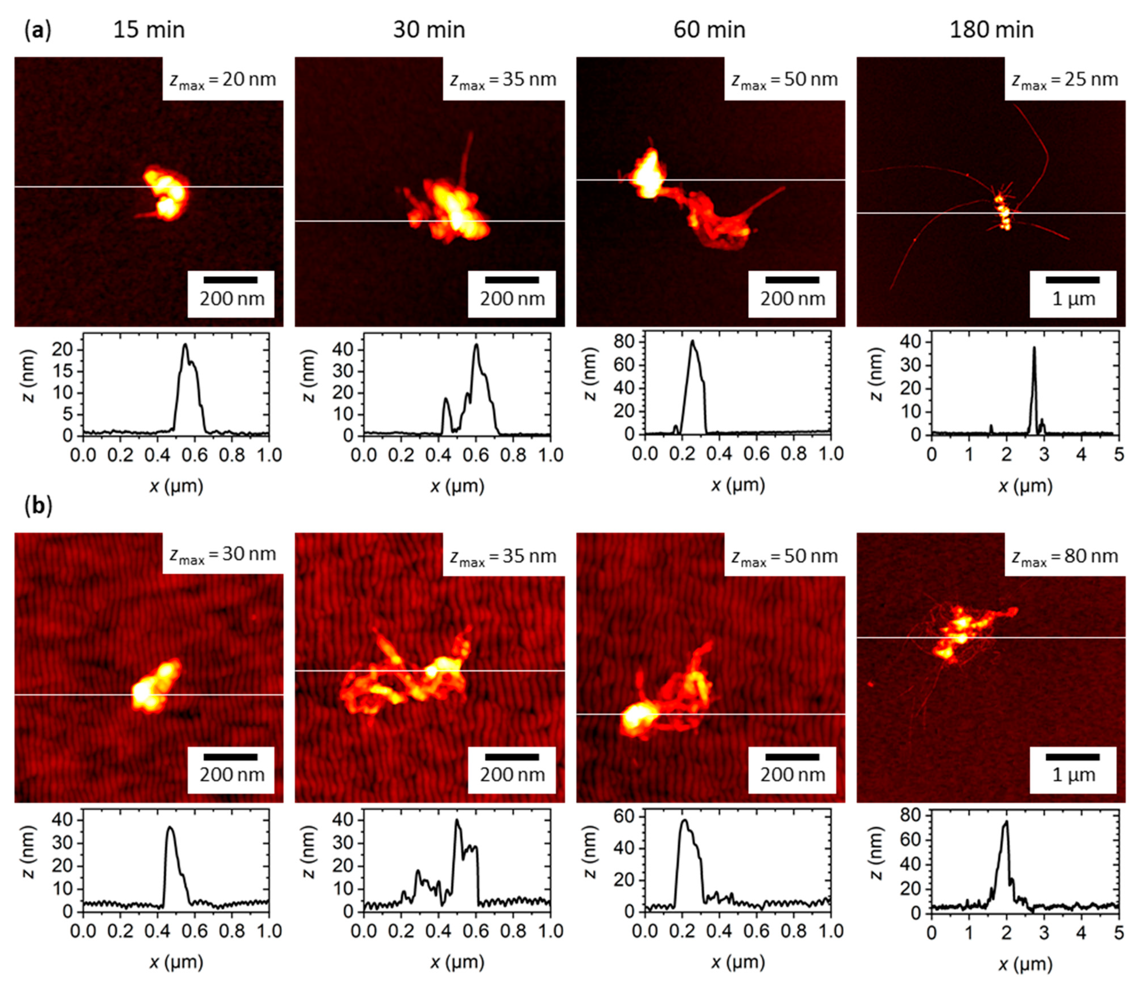 Ijms 22 05142 g003 Ijms 22 05142 g003