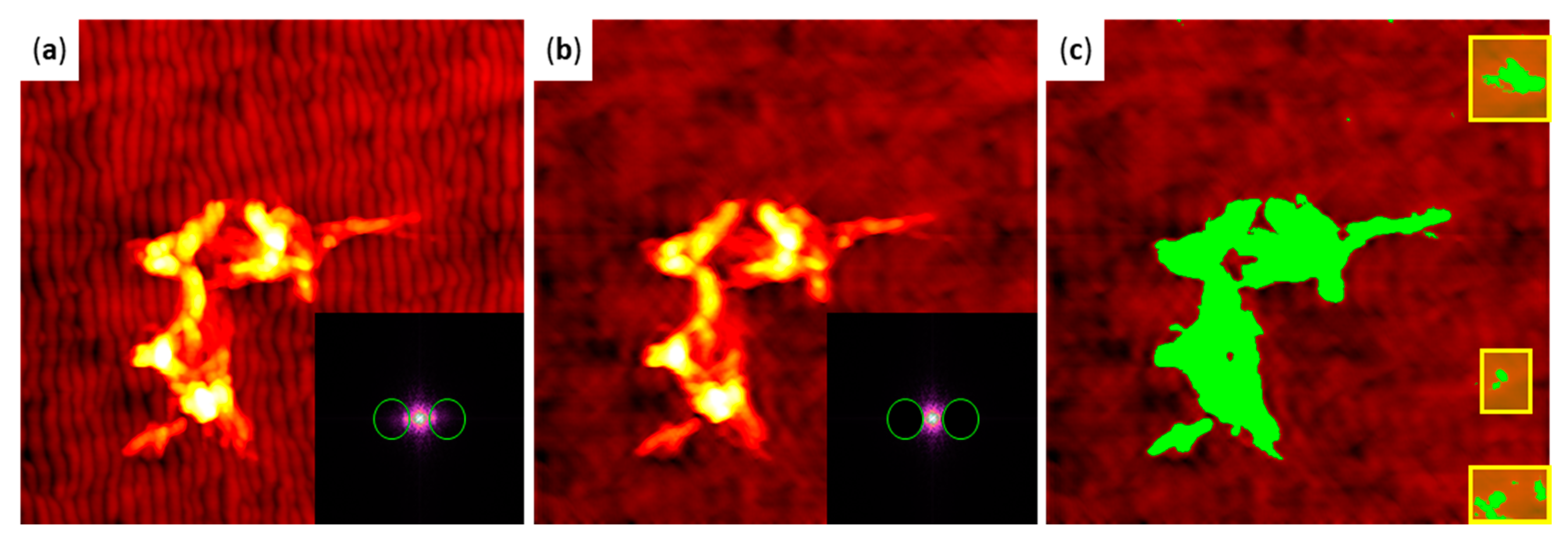 Ijms 22 05142 g004 Ijms 22 05142 g004