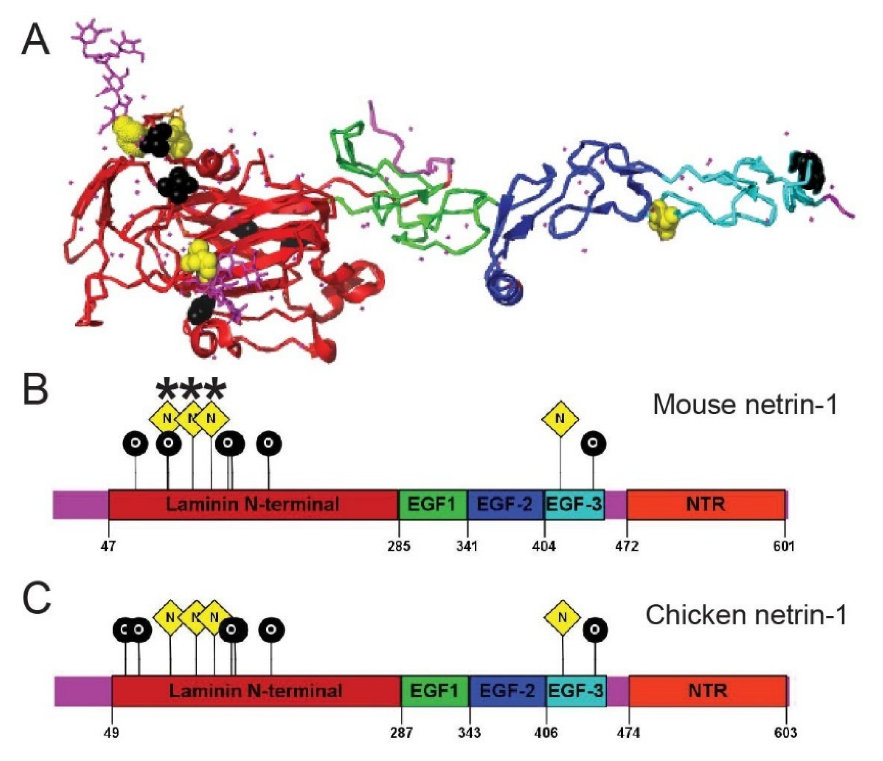Ijms 22 05143 g003 Ijms 22 05143 g003