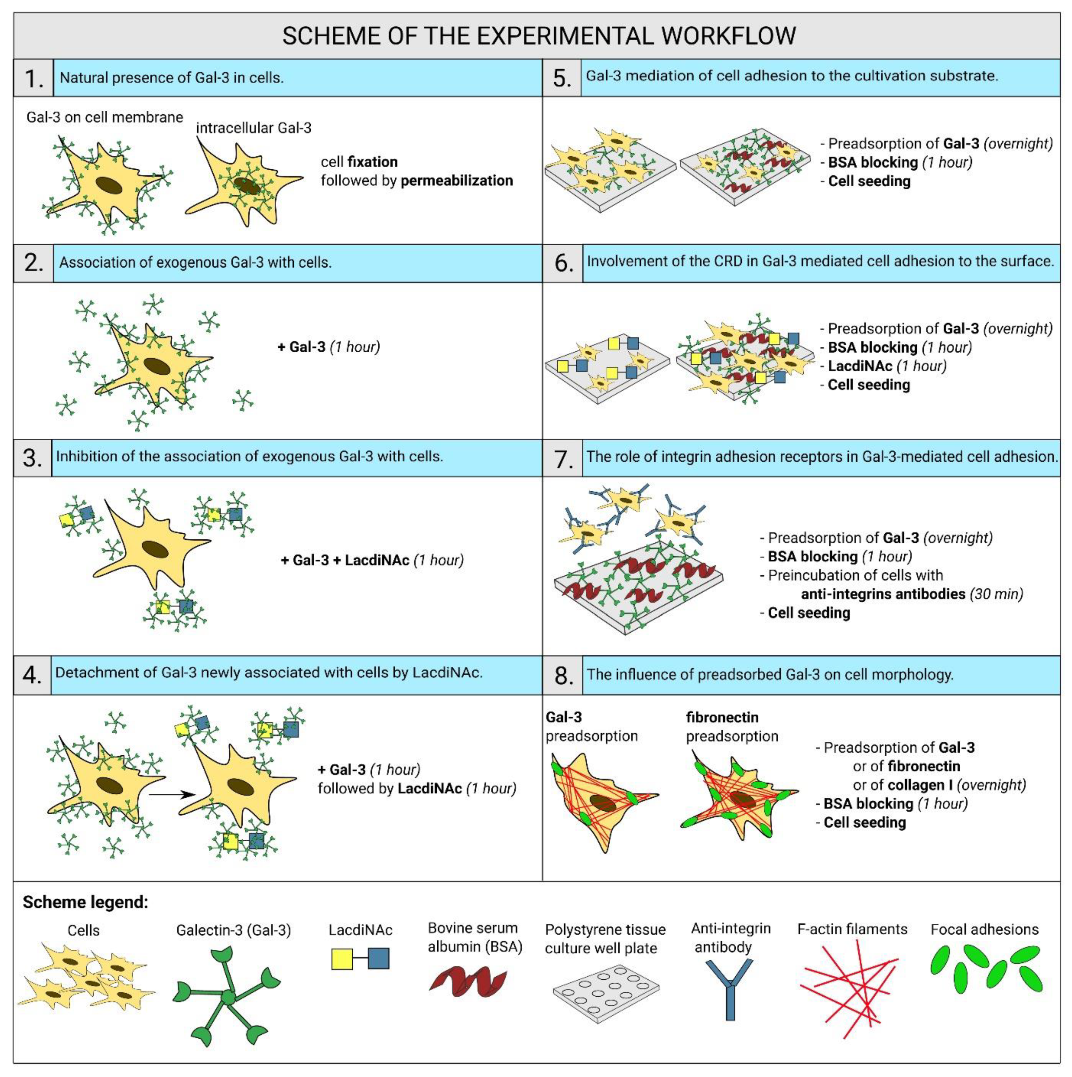 Ijms 22 05144 sch001