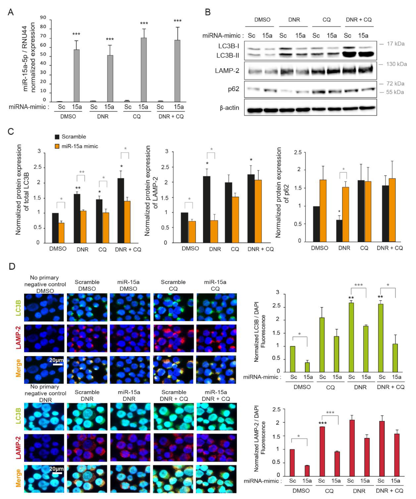 Ijms 22 05153 g003 Ijms 22 05153 g003