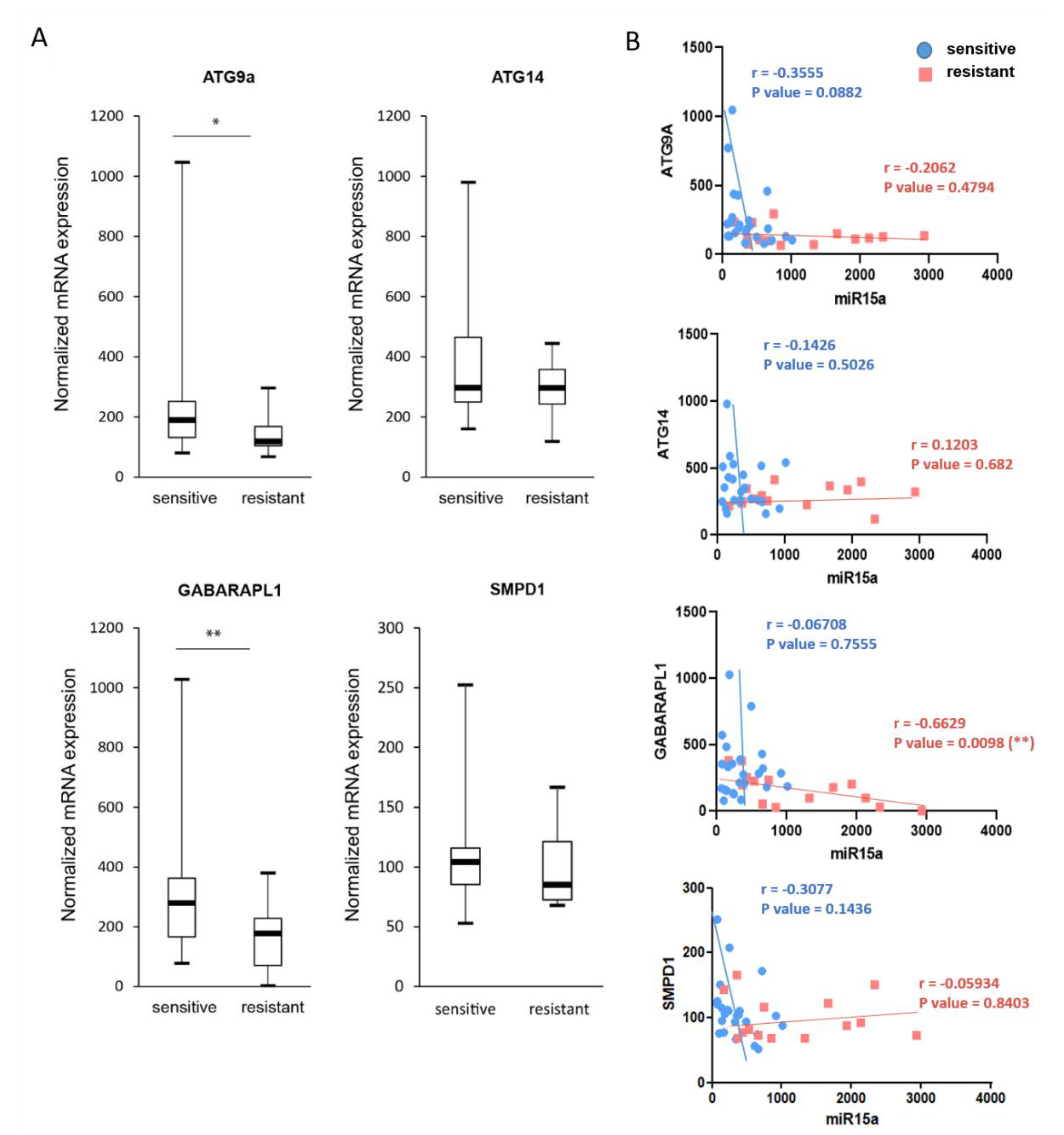 Ijms 22 05153 g007 Ijms 22 05153 g007
