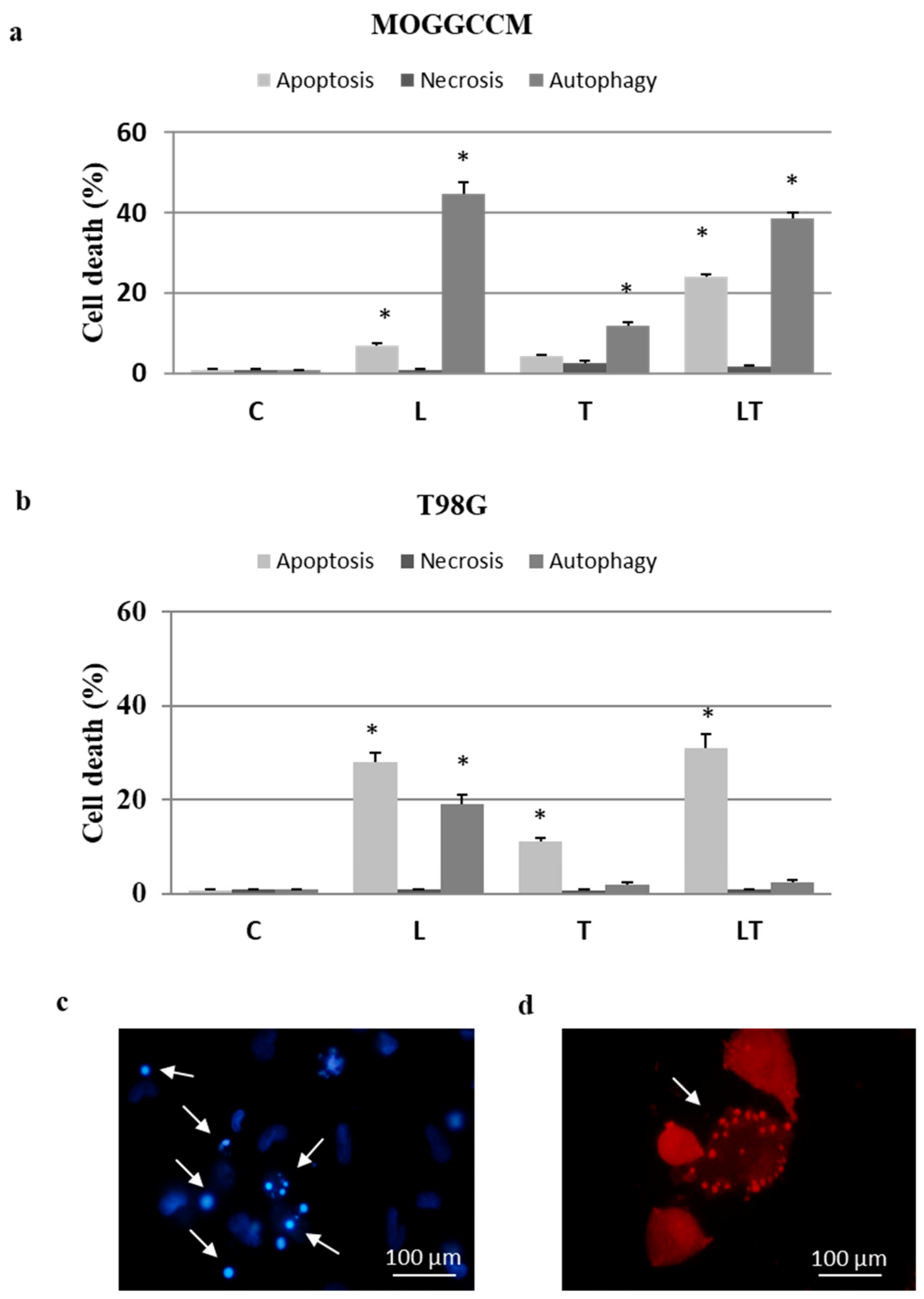 Ijms 22 05155 g002 Ijms 22 05155 g002