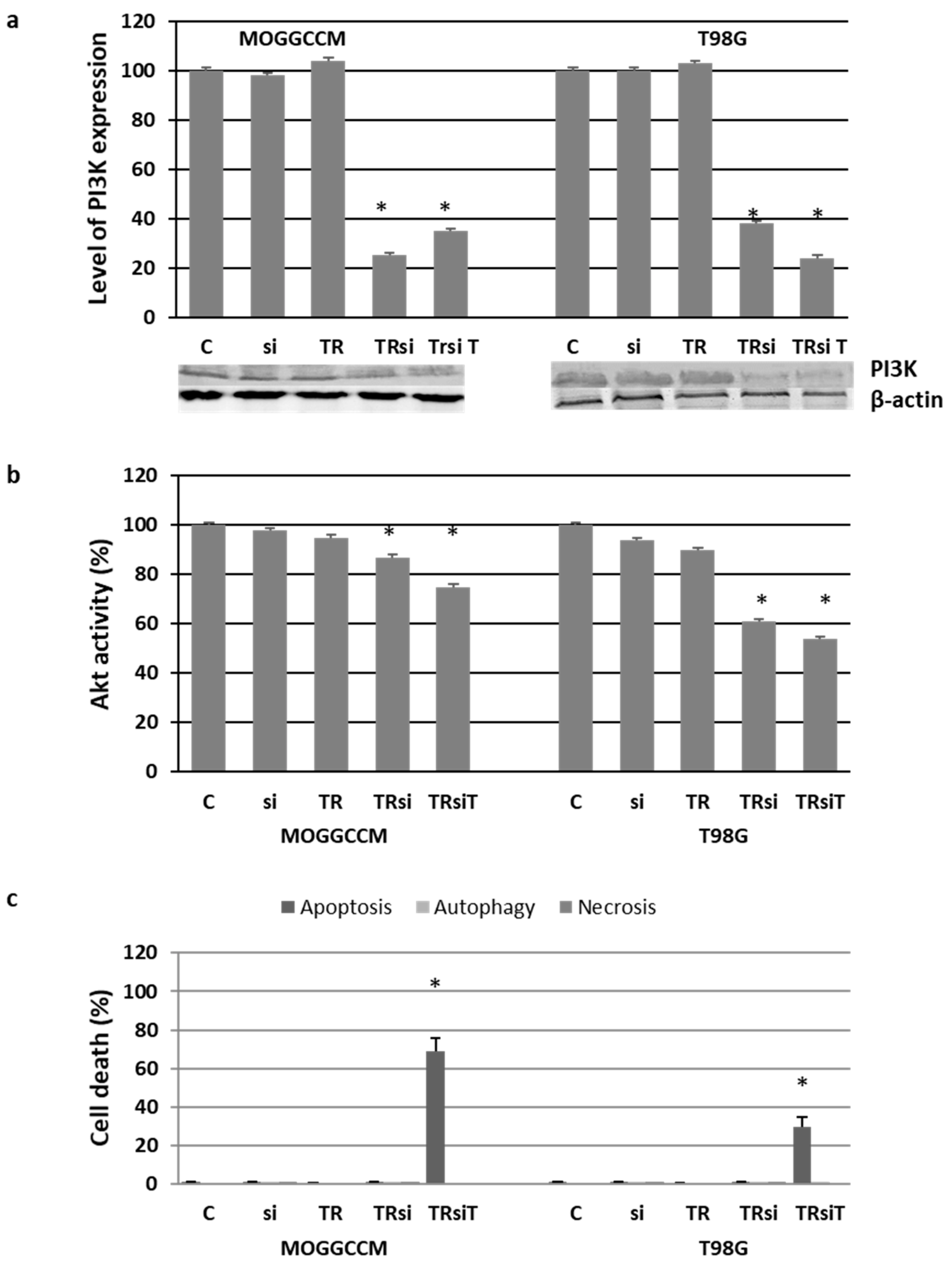 Ijms 22 05155 g007 Ijms 22 05155 g007