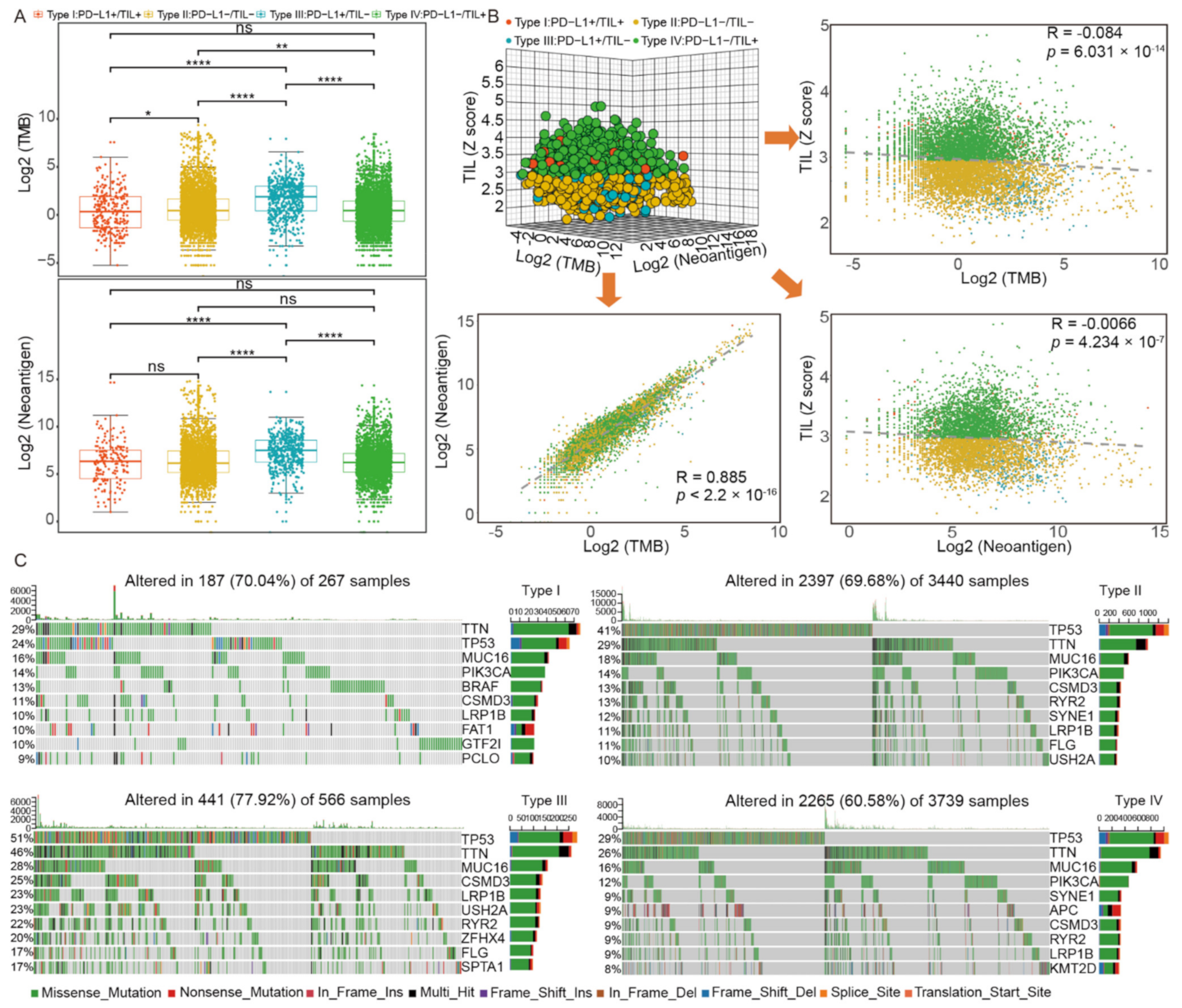 Ijms 22 05158 g003 Ijms 22 05158 g003