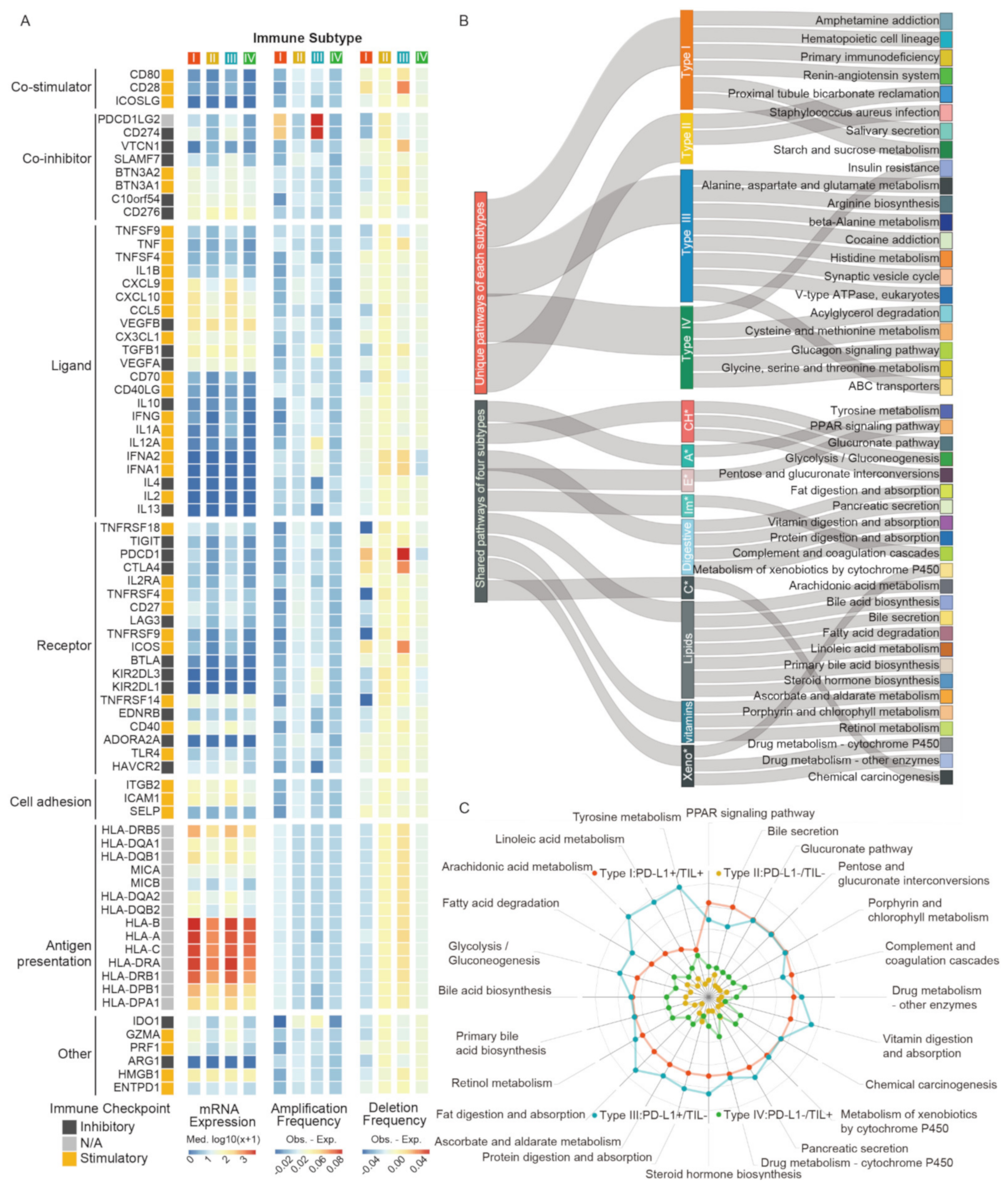 Ijms 22 05158 g004 Ijms 22 05158 g004