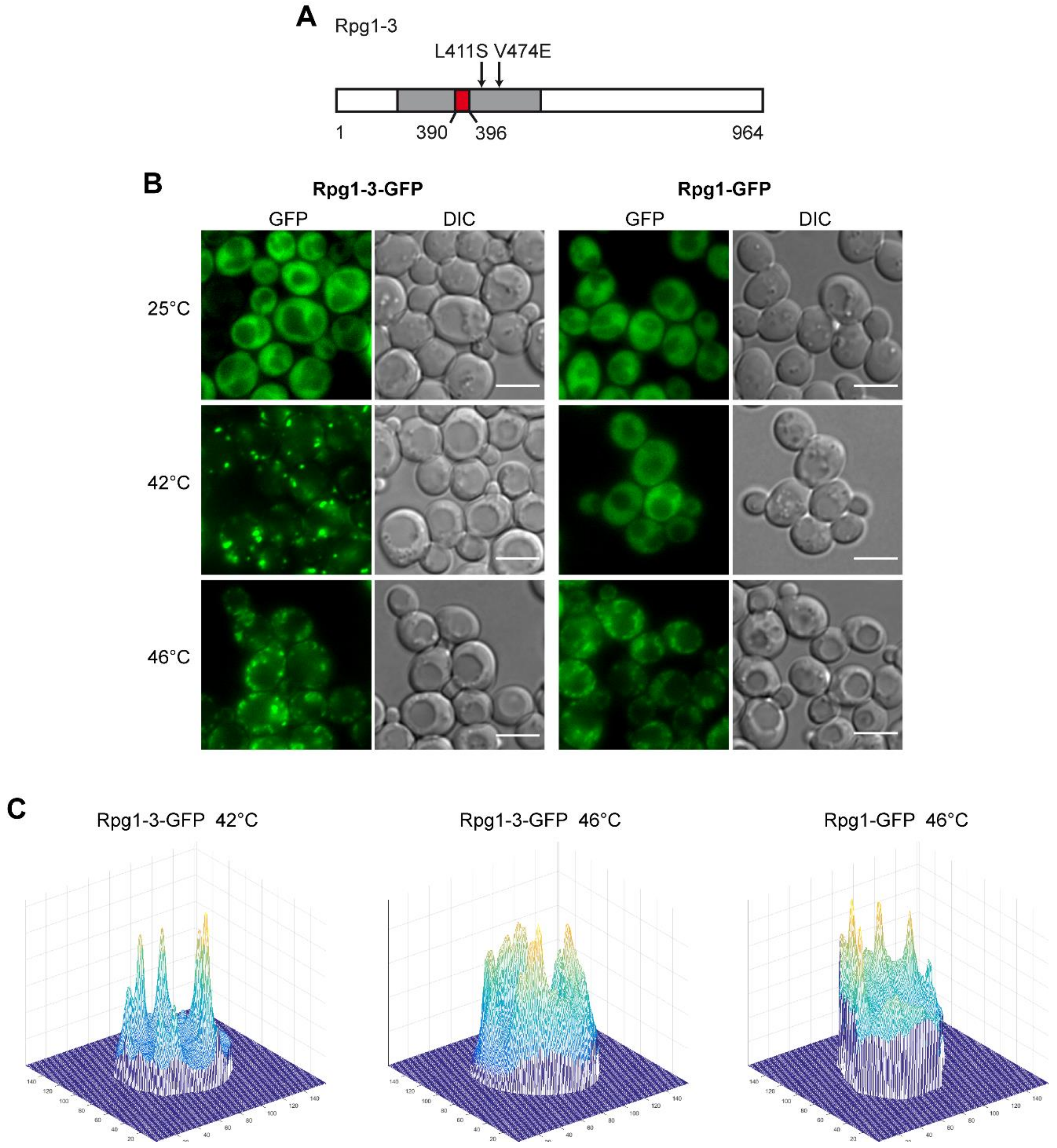 Ijms 22 05164 g001 Ijms 22 05164 g001