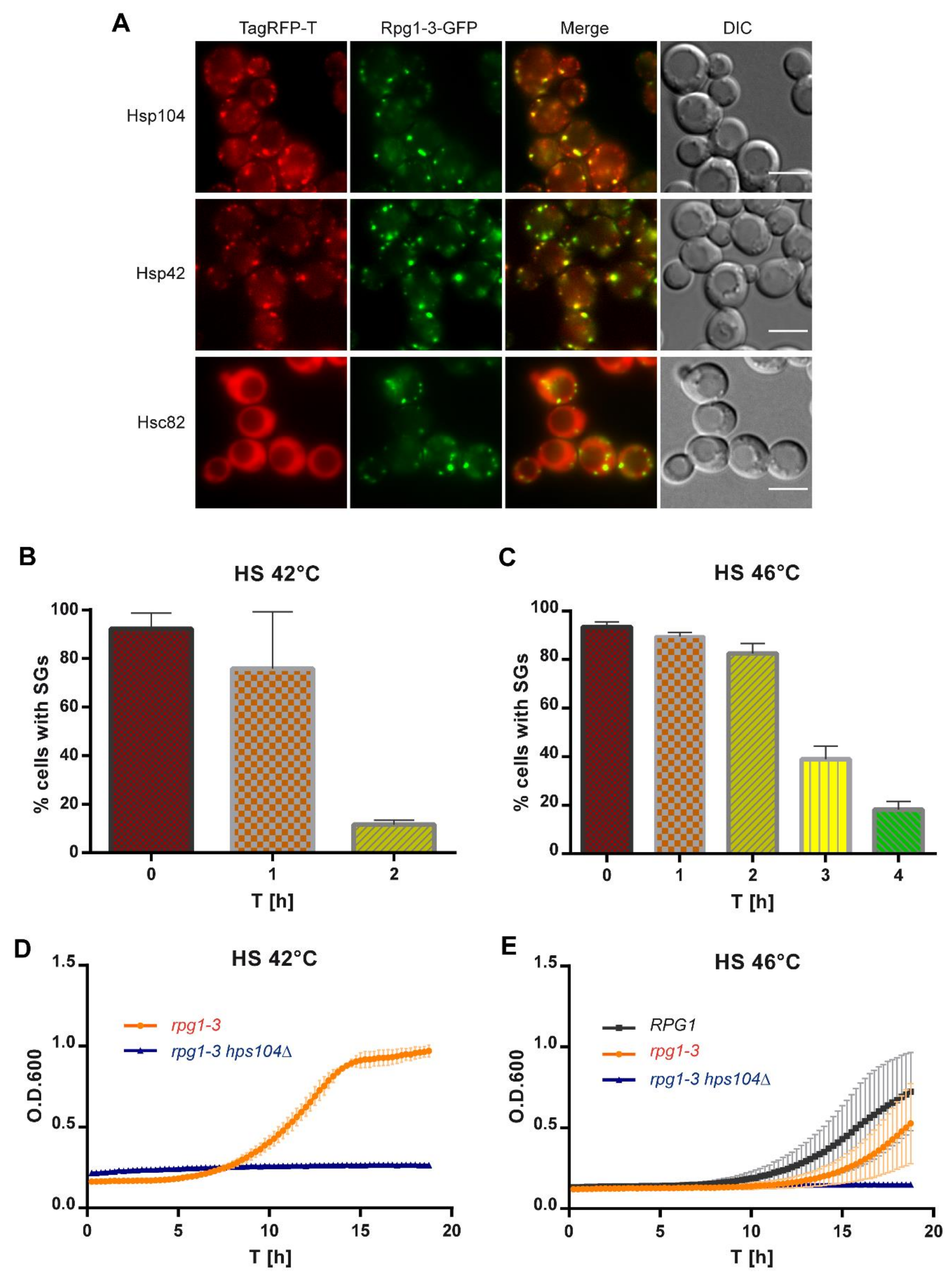Ijms 22 05164 g007 Ijms 22 05164 g007