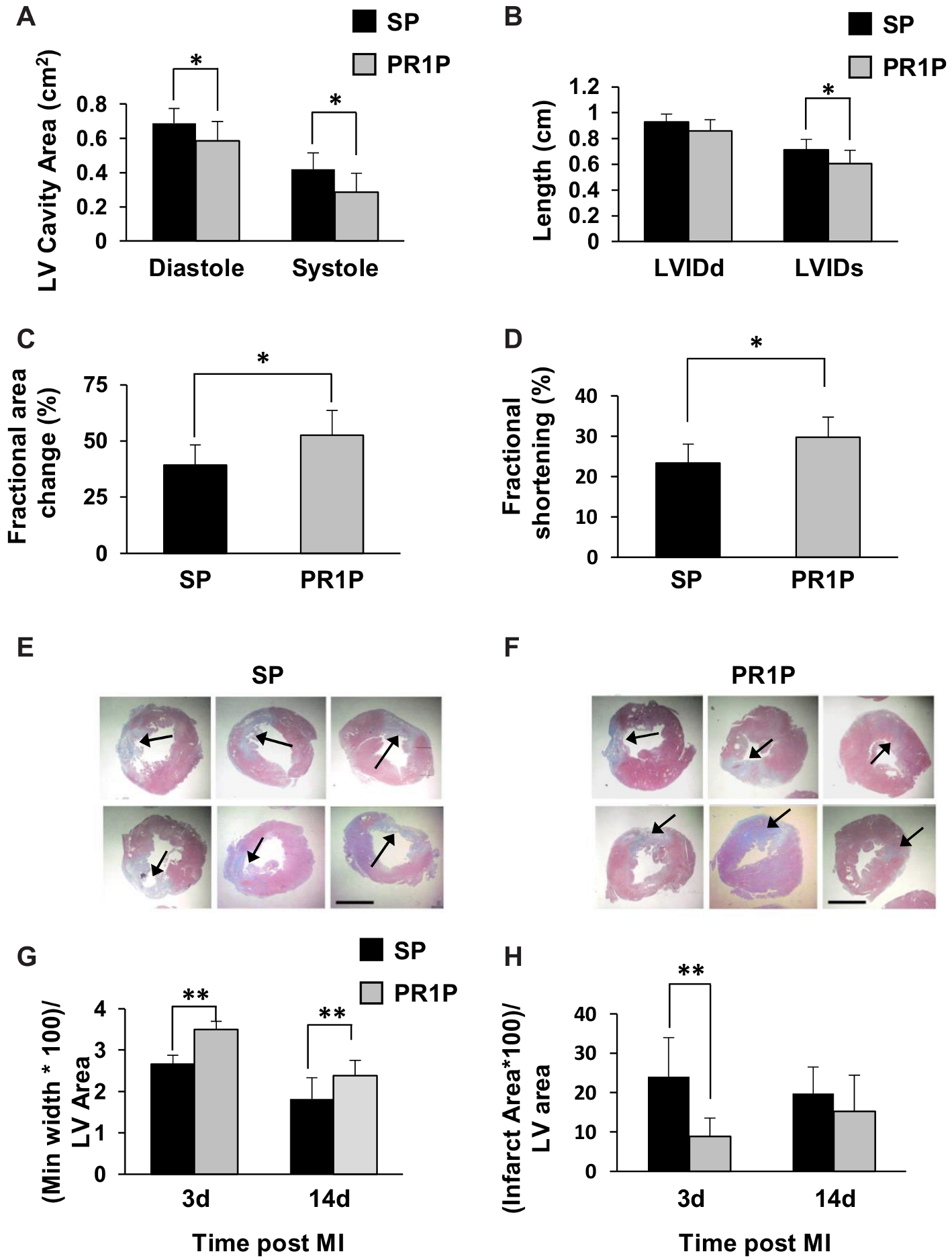 Ijms 22 05169 g002 Ijms 22 05169 g002