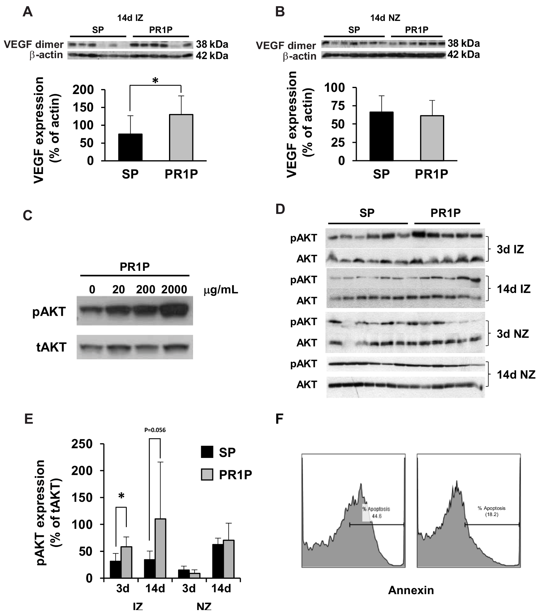 Ijms 22 05169 g003 Ijms 22 05169 g003